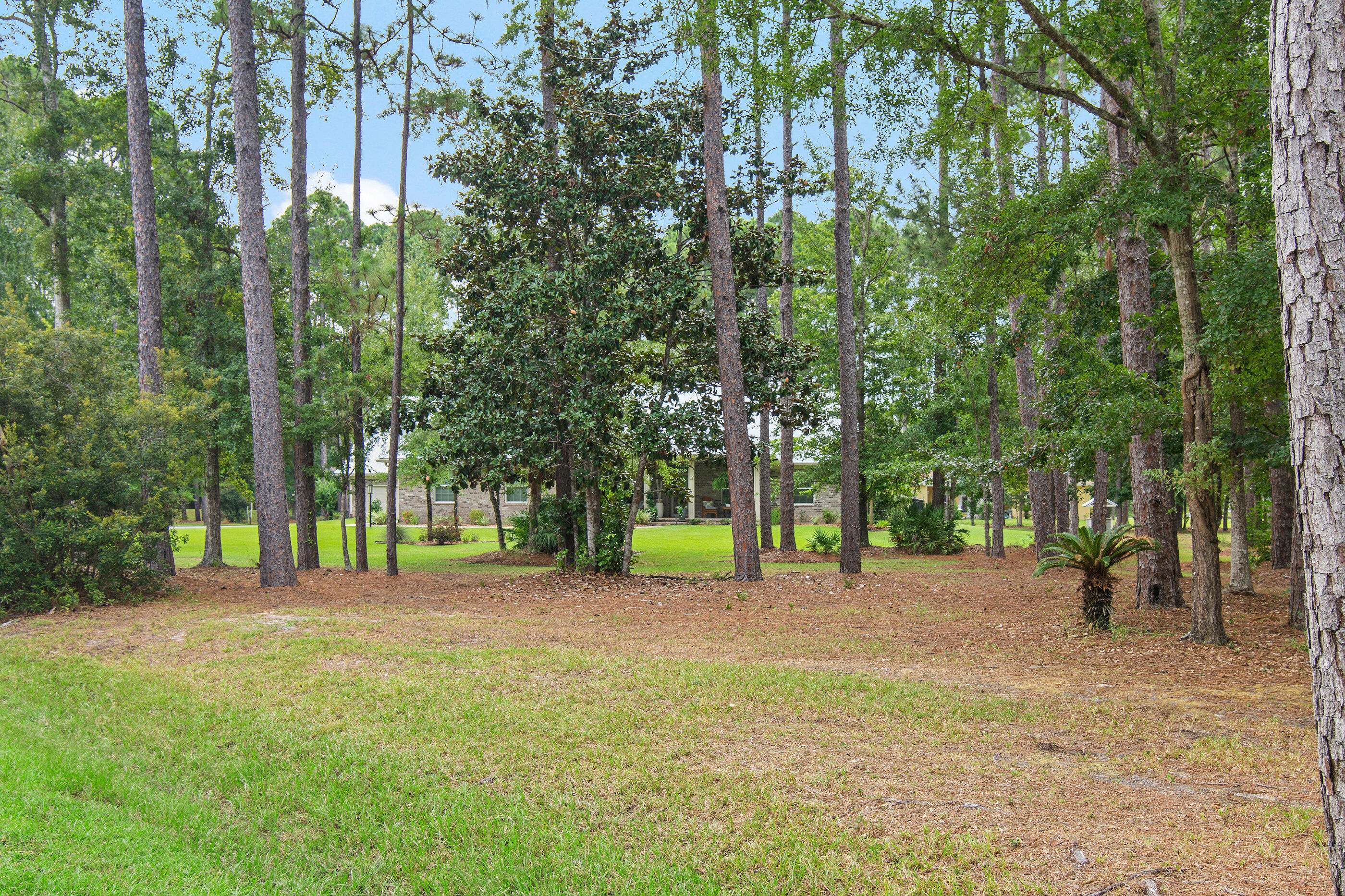 BAY GROVE - Residential