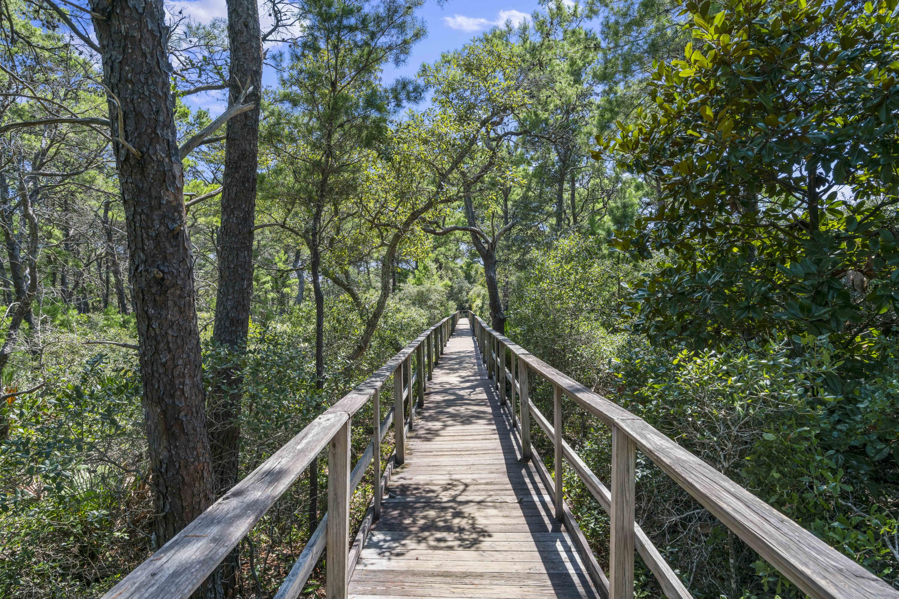 THE PRESERVE AT GRAYTON BEACH - Residential
