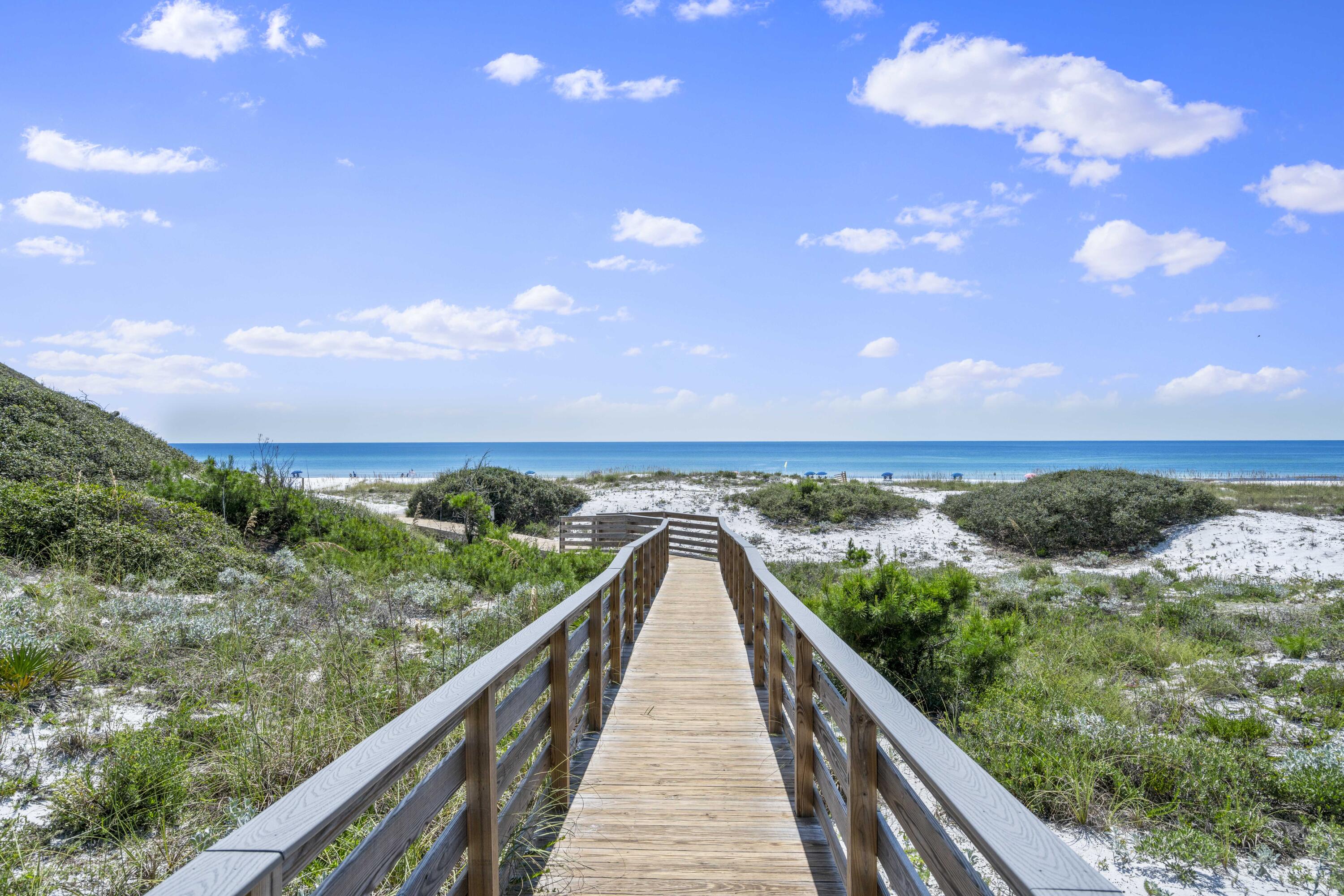 THE PRESERVE AT GRAYTON BEACH - Residential