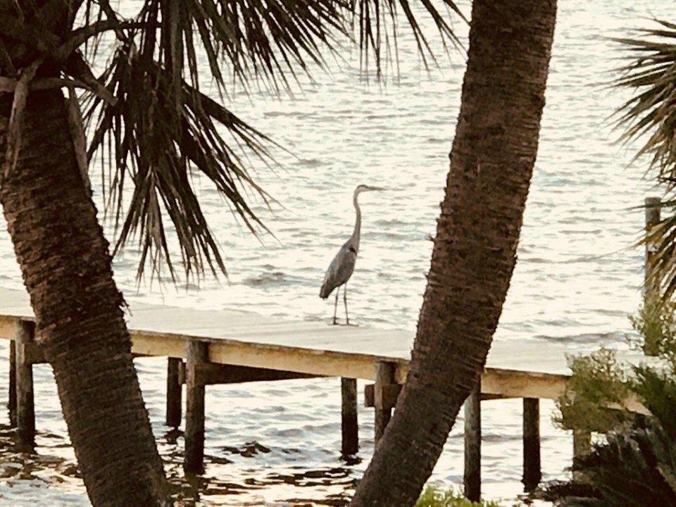 EMERALD POINTE PLAT 3 - Residential