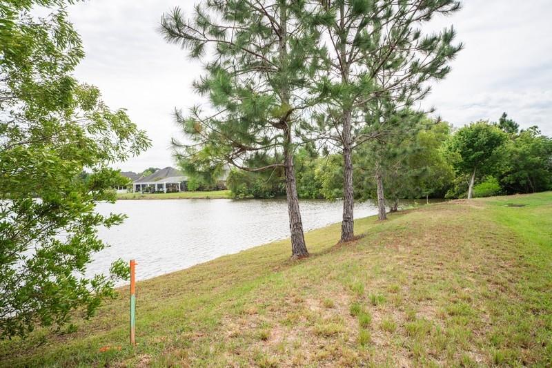 The Moors Golf and Racquet Club - Land