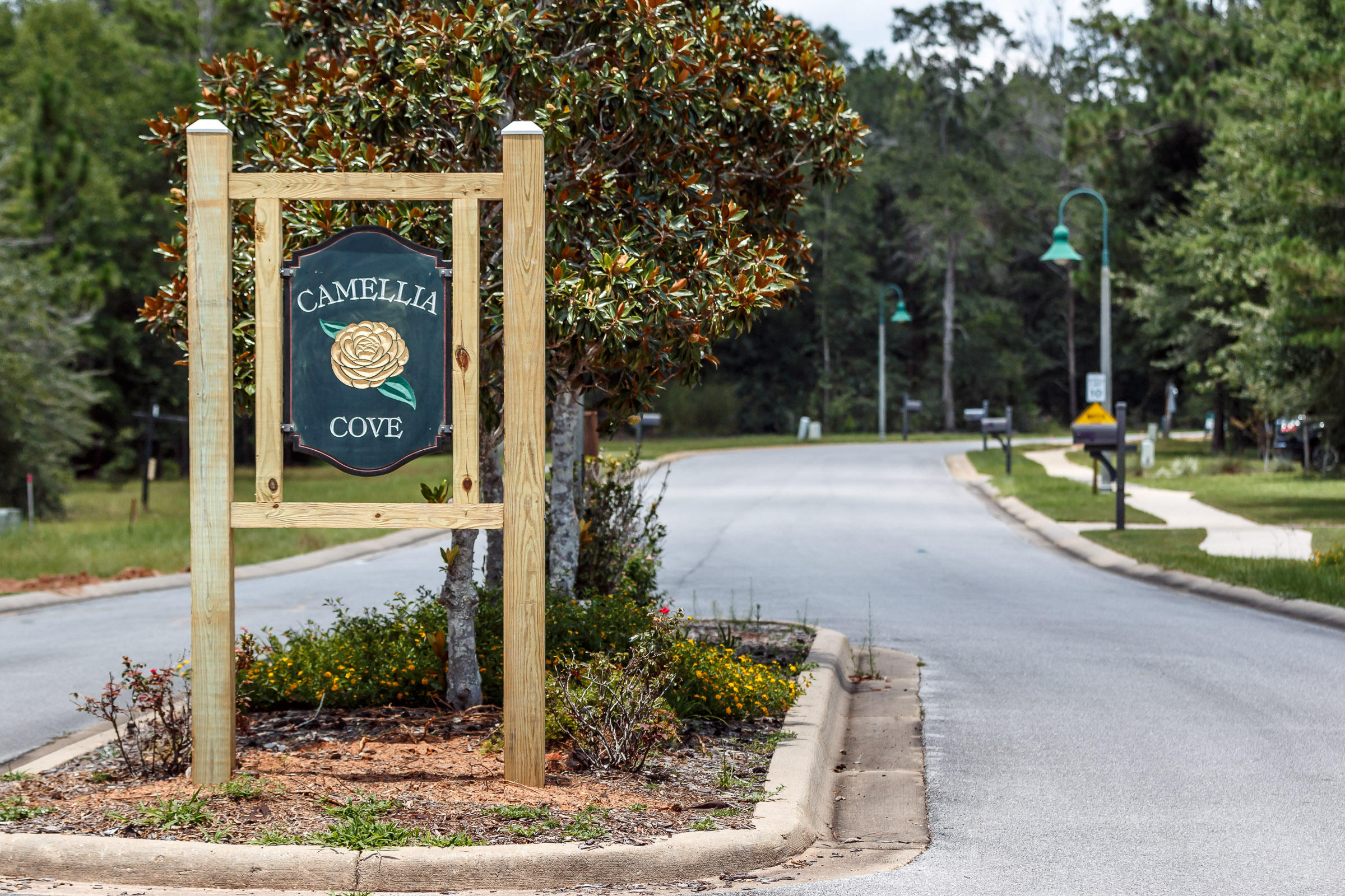 CAMELLIA COVE - Residential