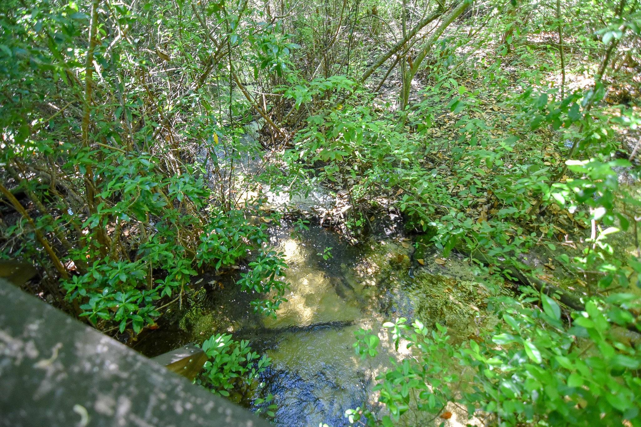 SWIFT CREEK PH 2 - Residential