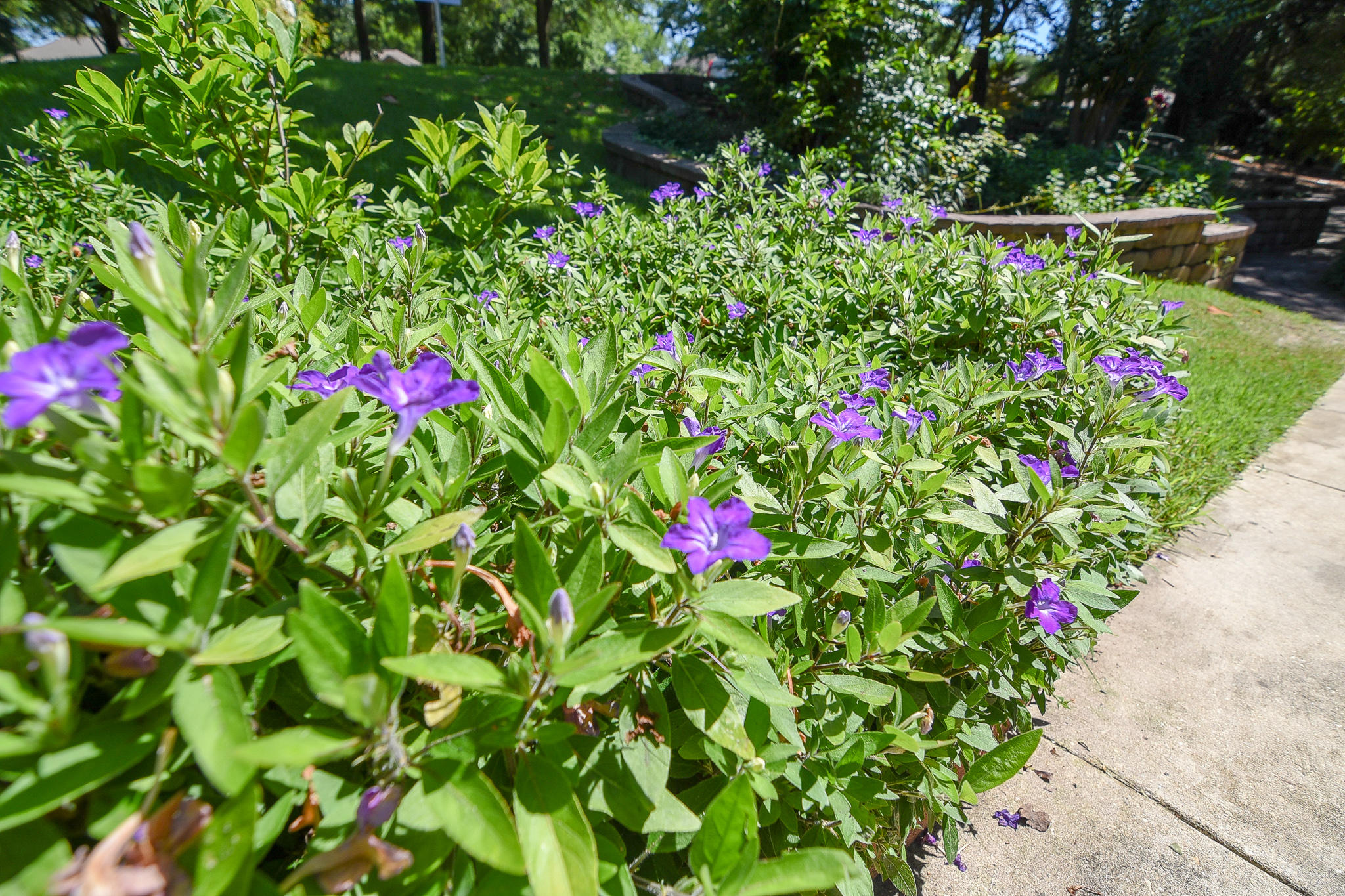 SWIFT CREEK PH 2 - Residential