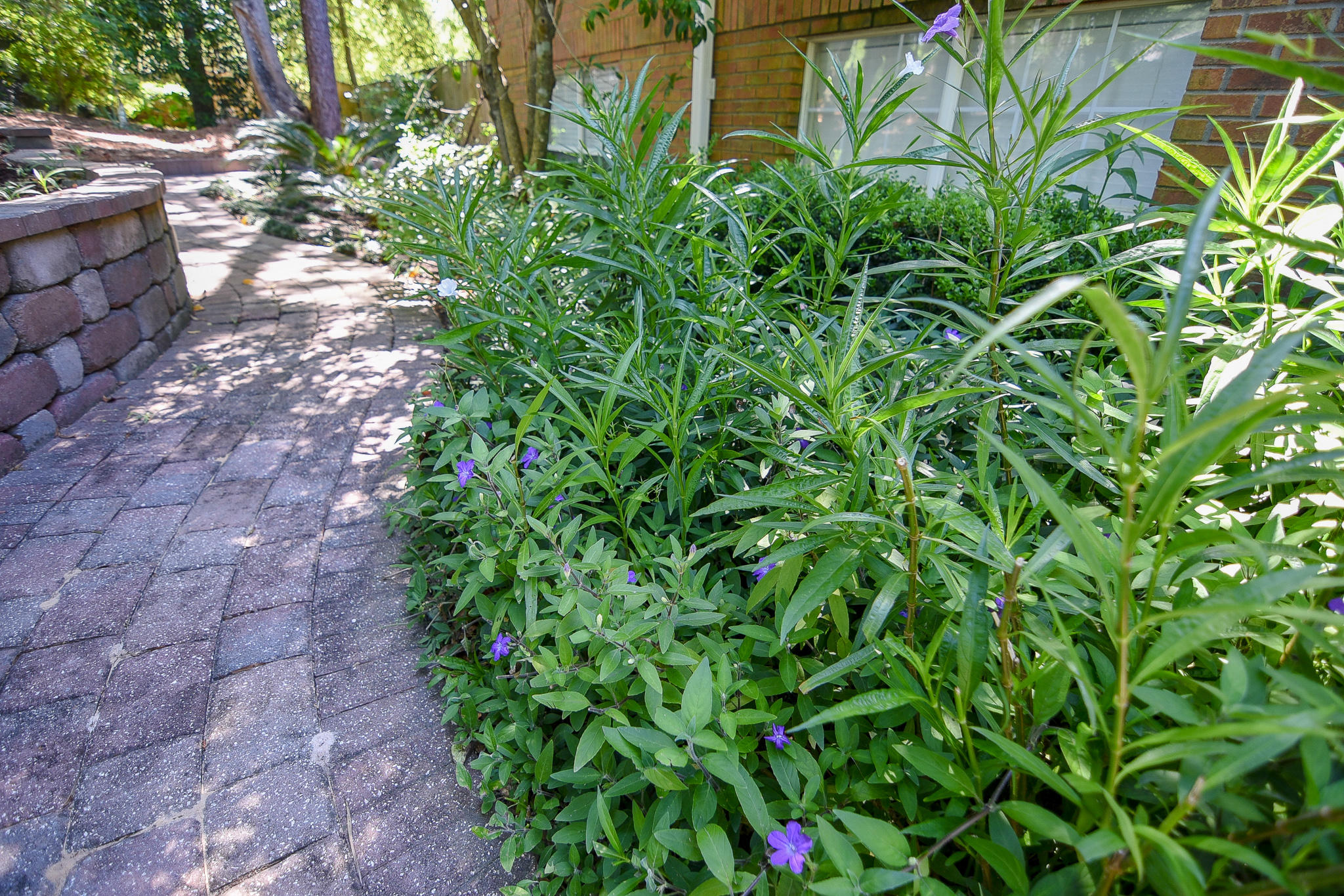 SWIFT CREEK PH 2 - Residential