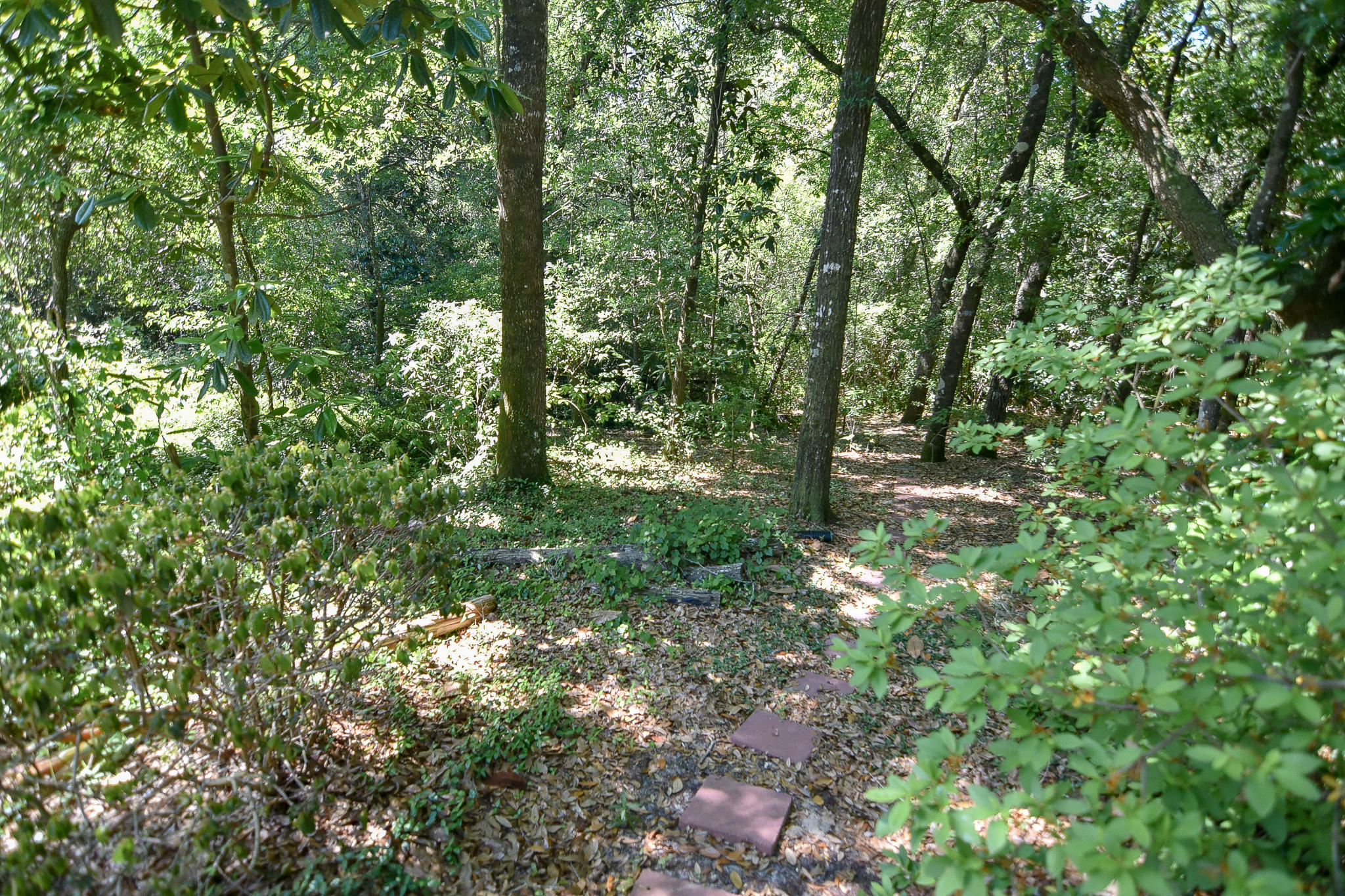 SWIFT CREEK PH 2 - Residential