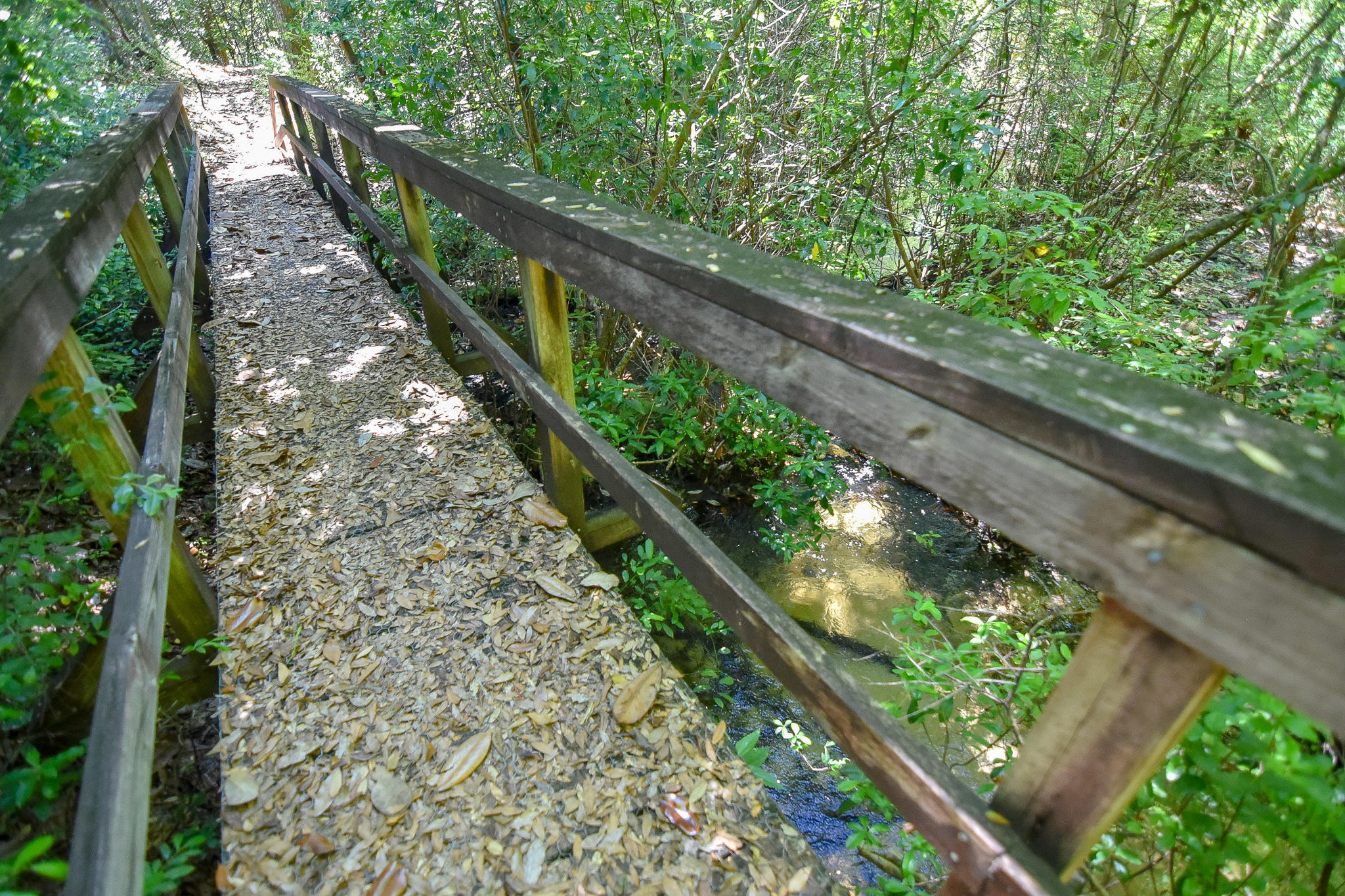 SWIFT CREEK PH 2 - Residential