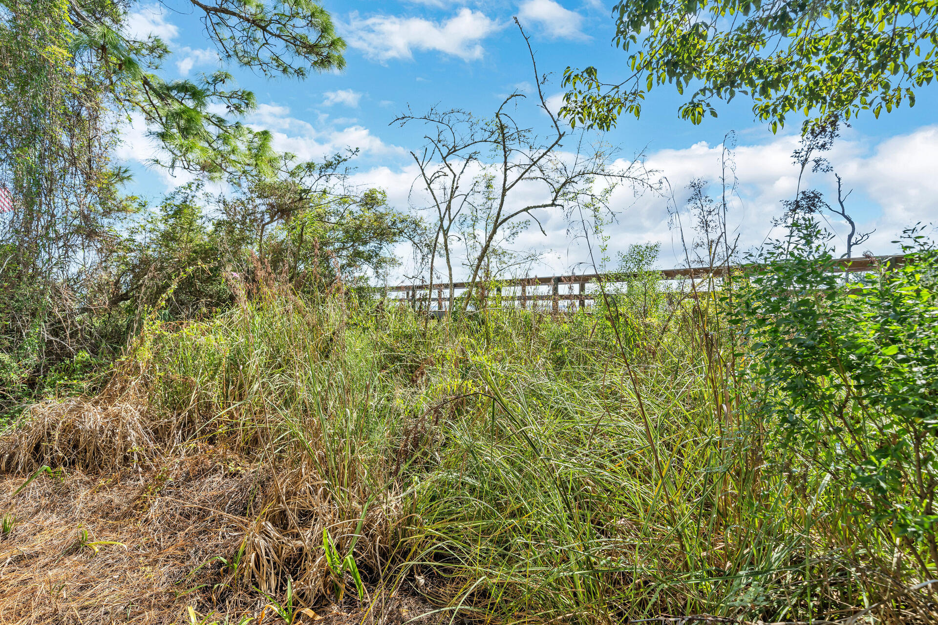 MAGNOLIA - Residential