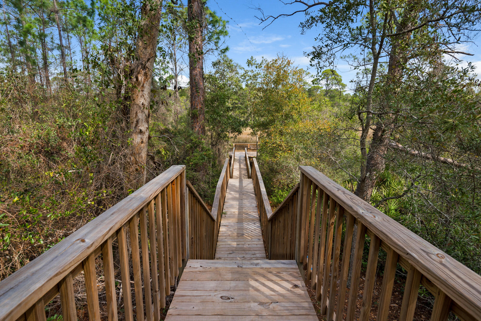 THE PRESERVE AT INLET BEACH - Residential