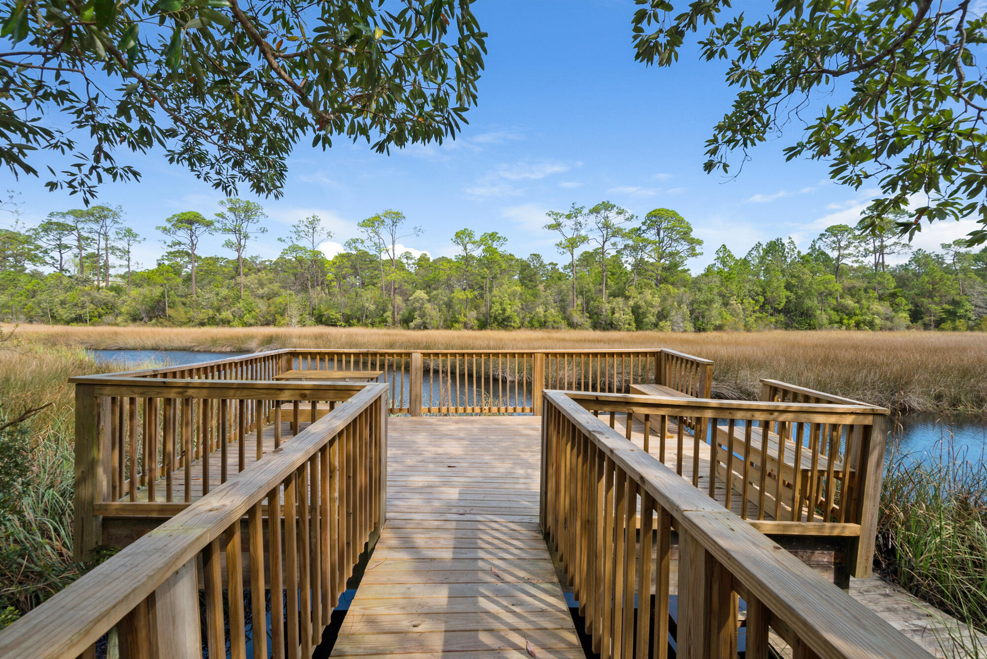 THE PRESERVE AT INLET BEACH - Residential