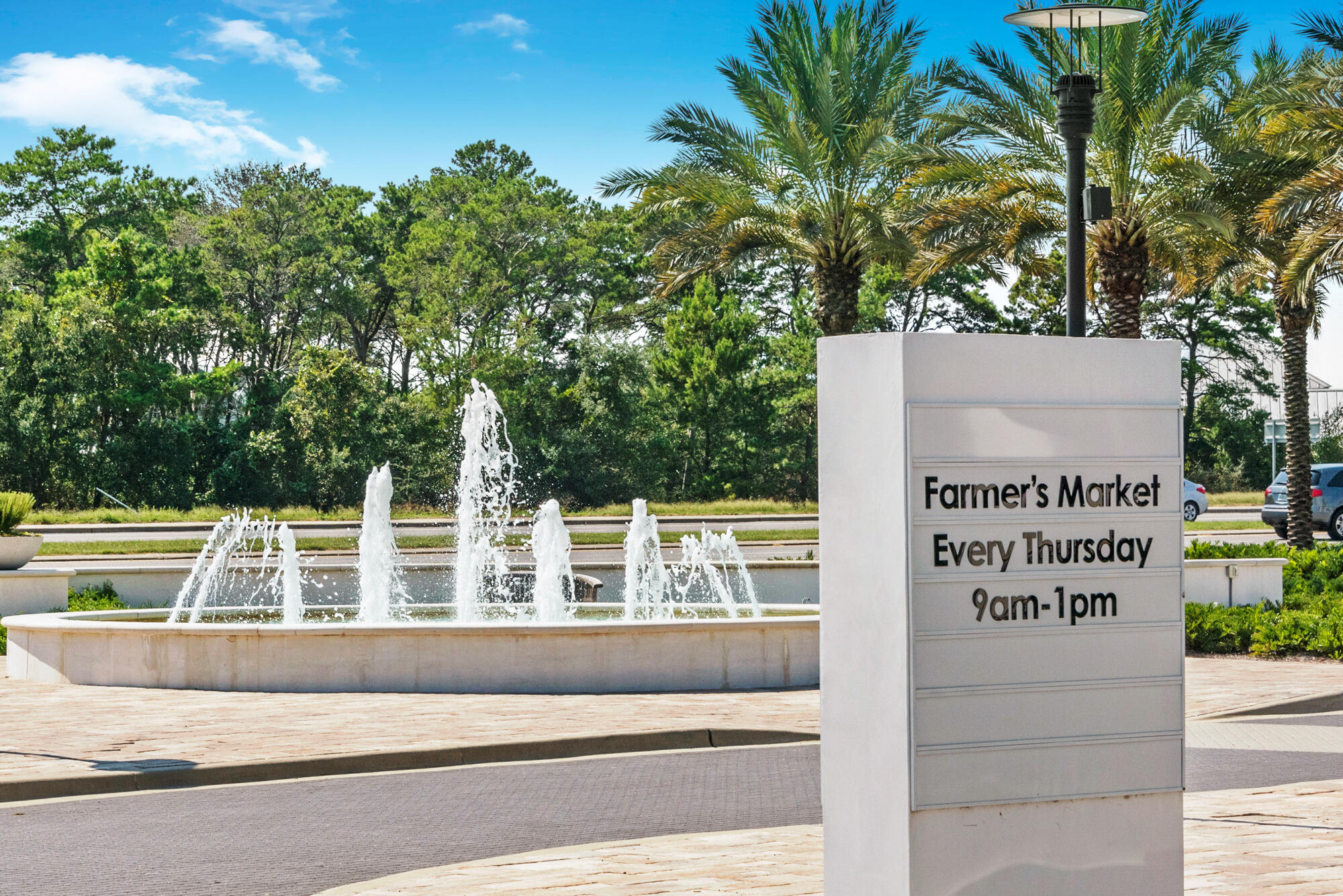 THE PRESERVE AT INLET BEACH - Residential