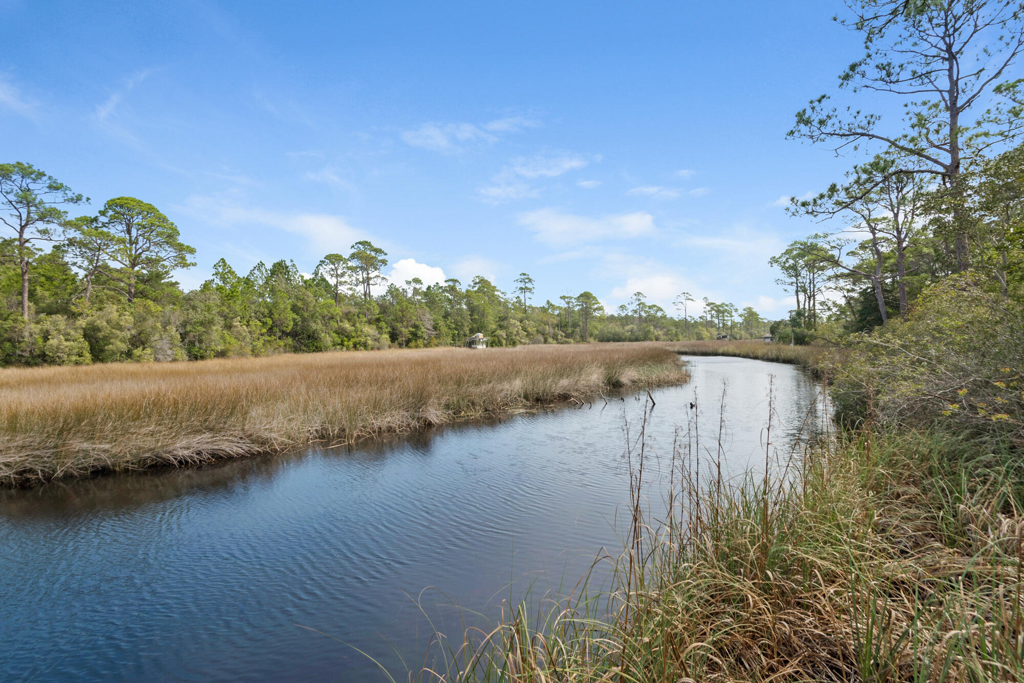 THE PRESERVE AT INLET BEACH - Residential