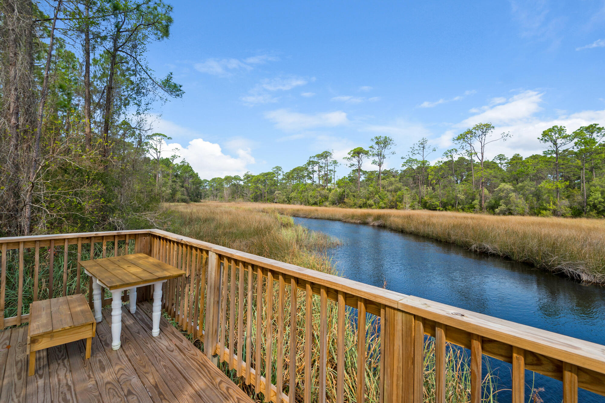 THE PRESERVE AT INLET BEACH - Residential