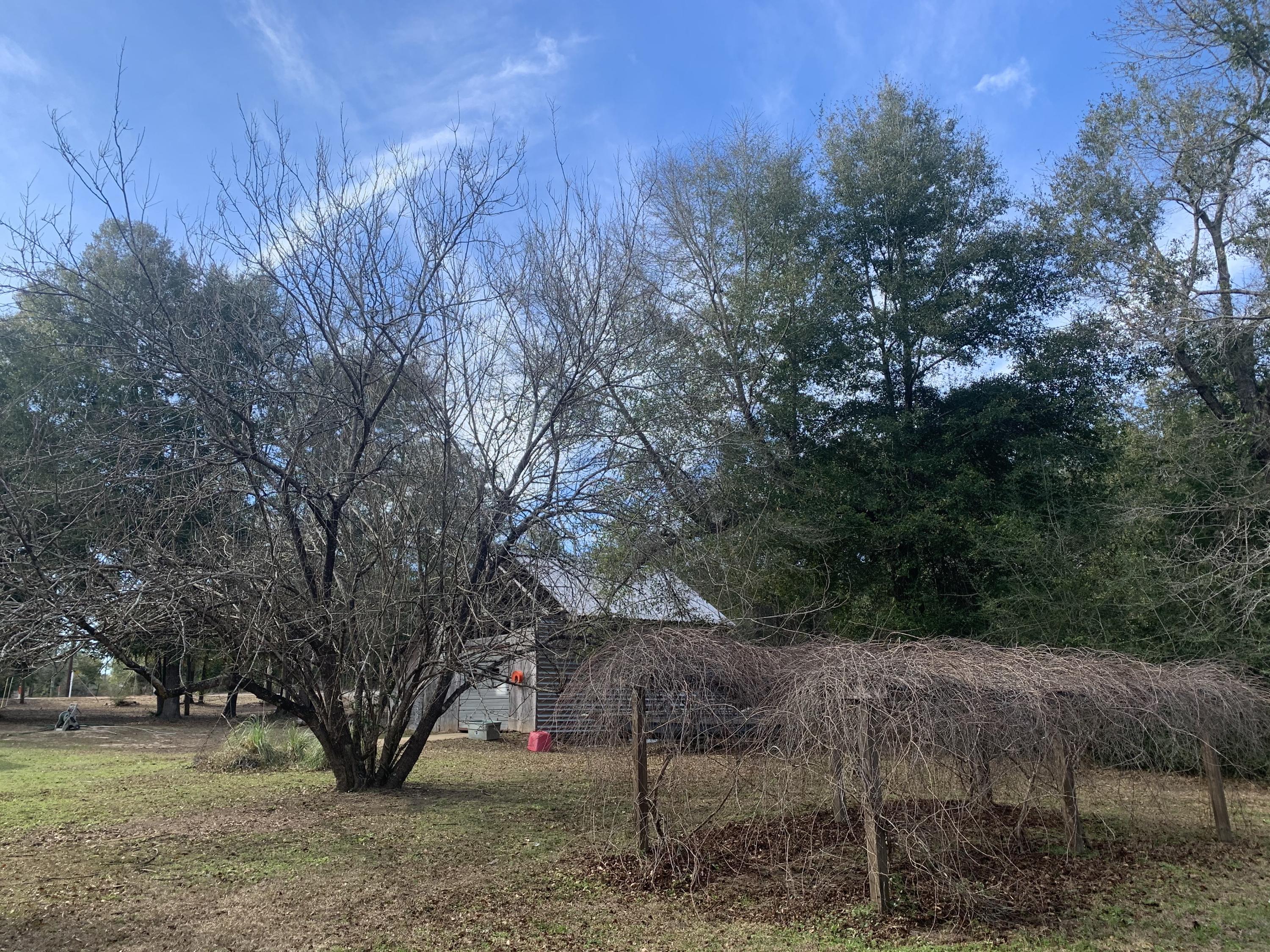 KATHERINE TERRACE - Residential