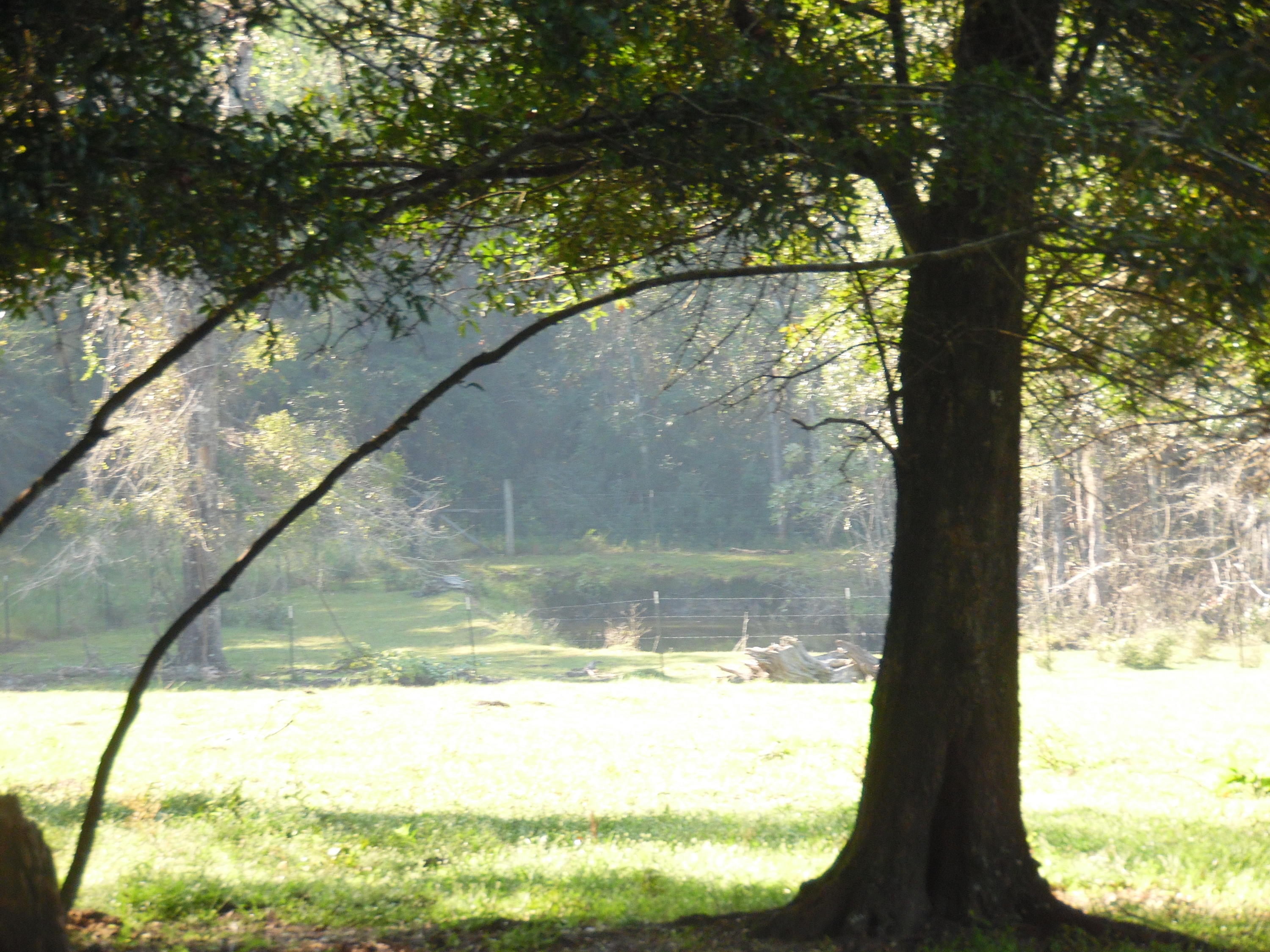 METES & BOUNDS - Farm