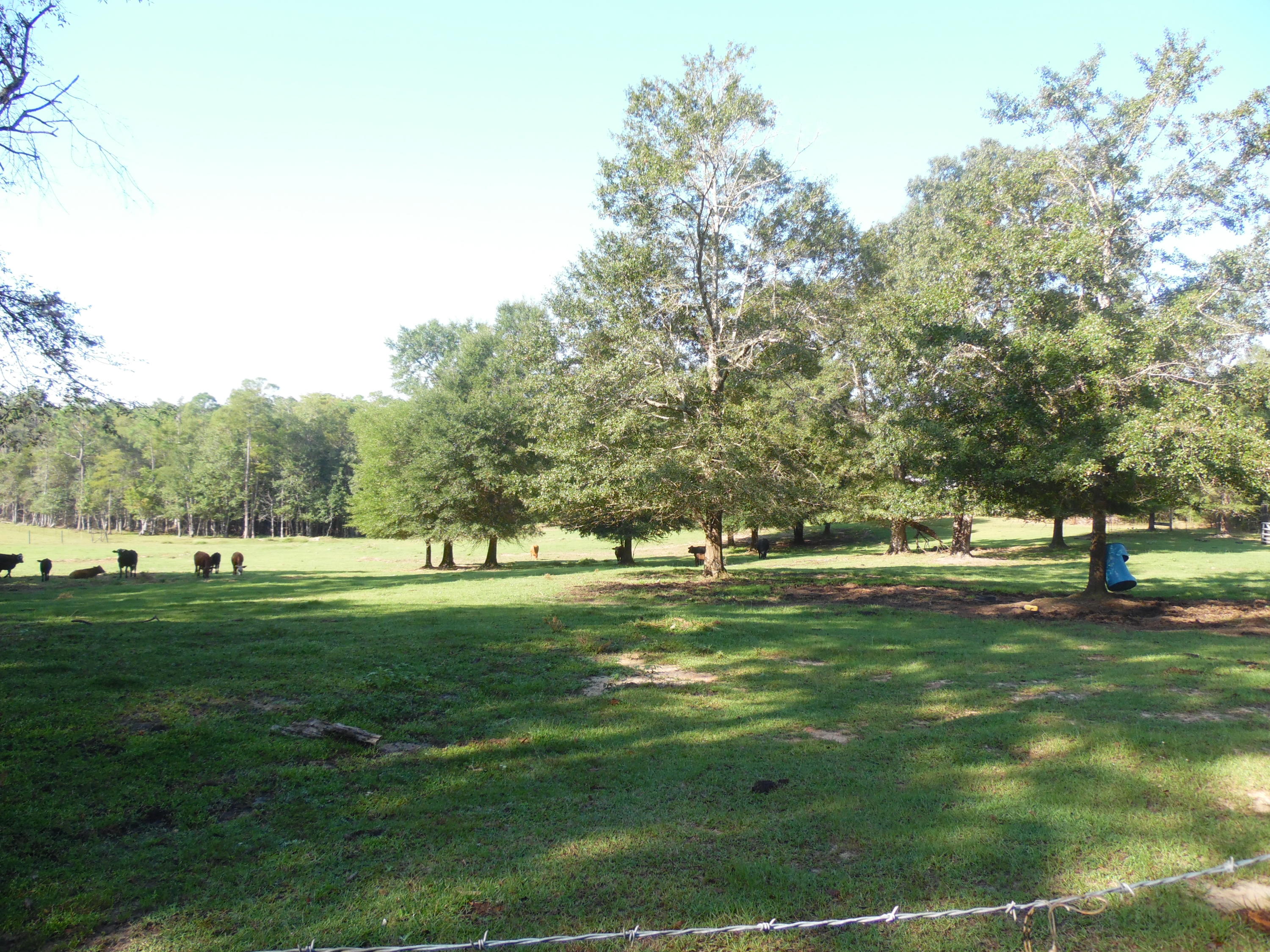 METES & BOUNDS - Farm