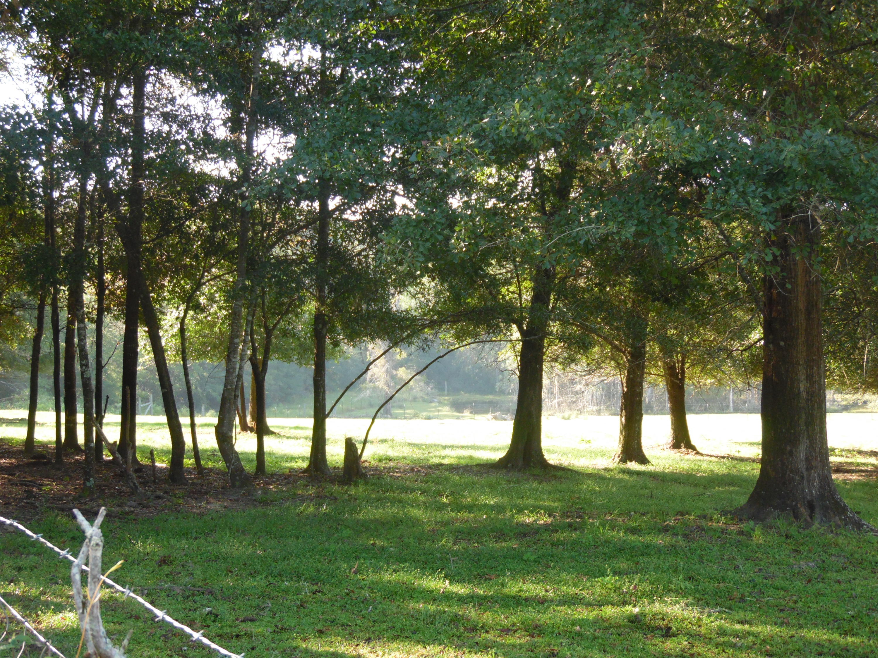 METES & BOUNDS - Farm