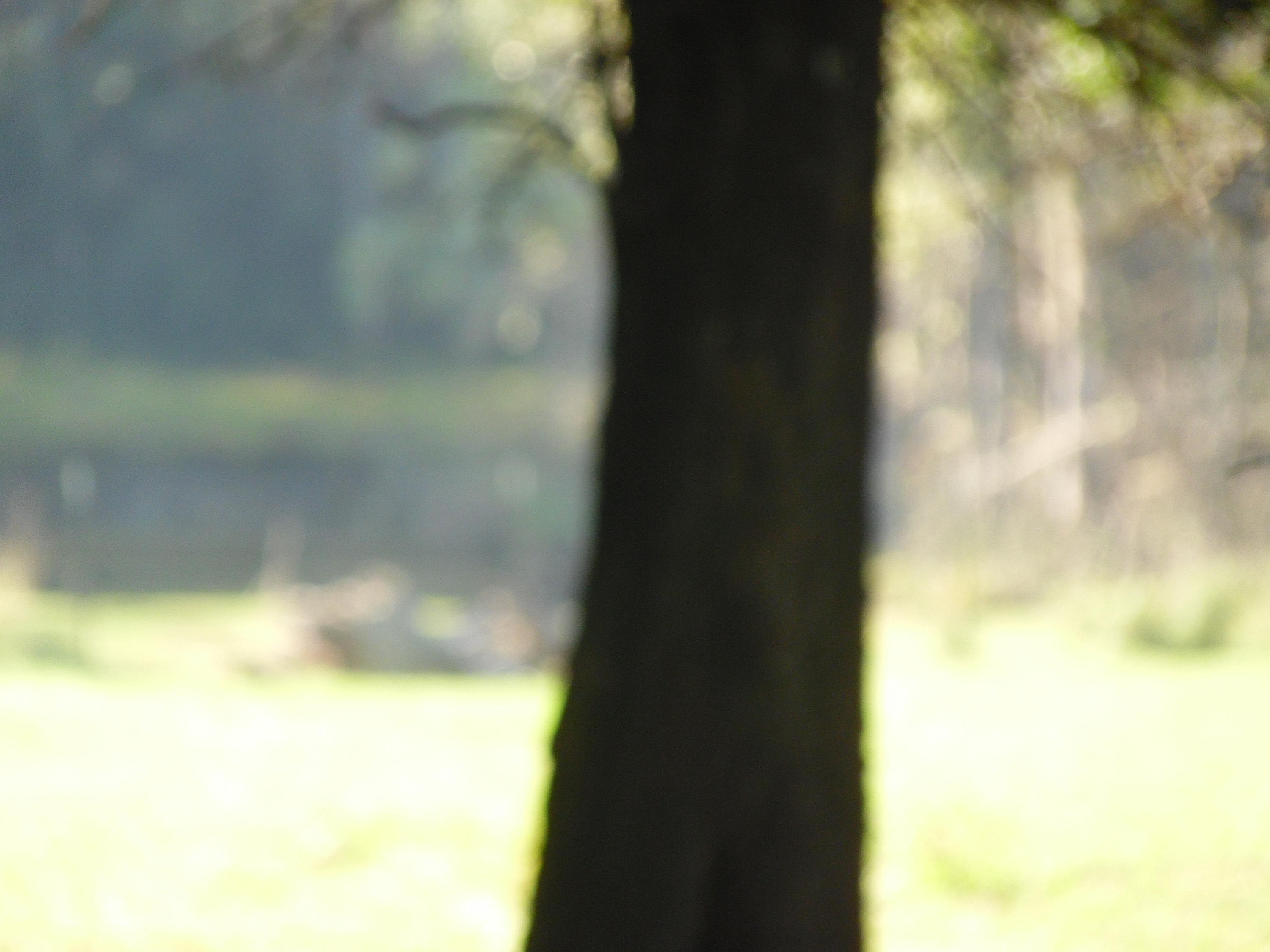 METES & BOUNDS - Farm