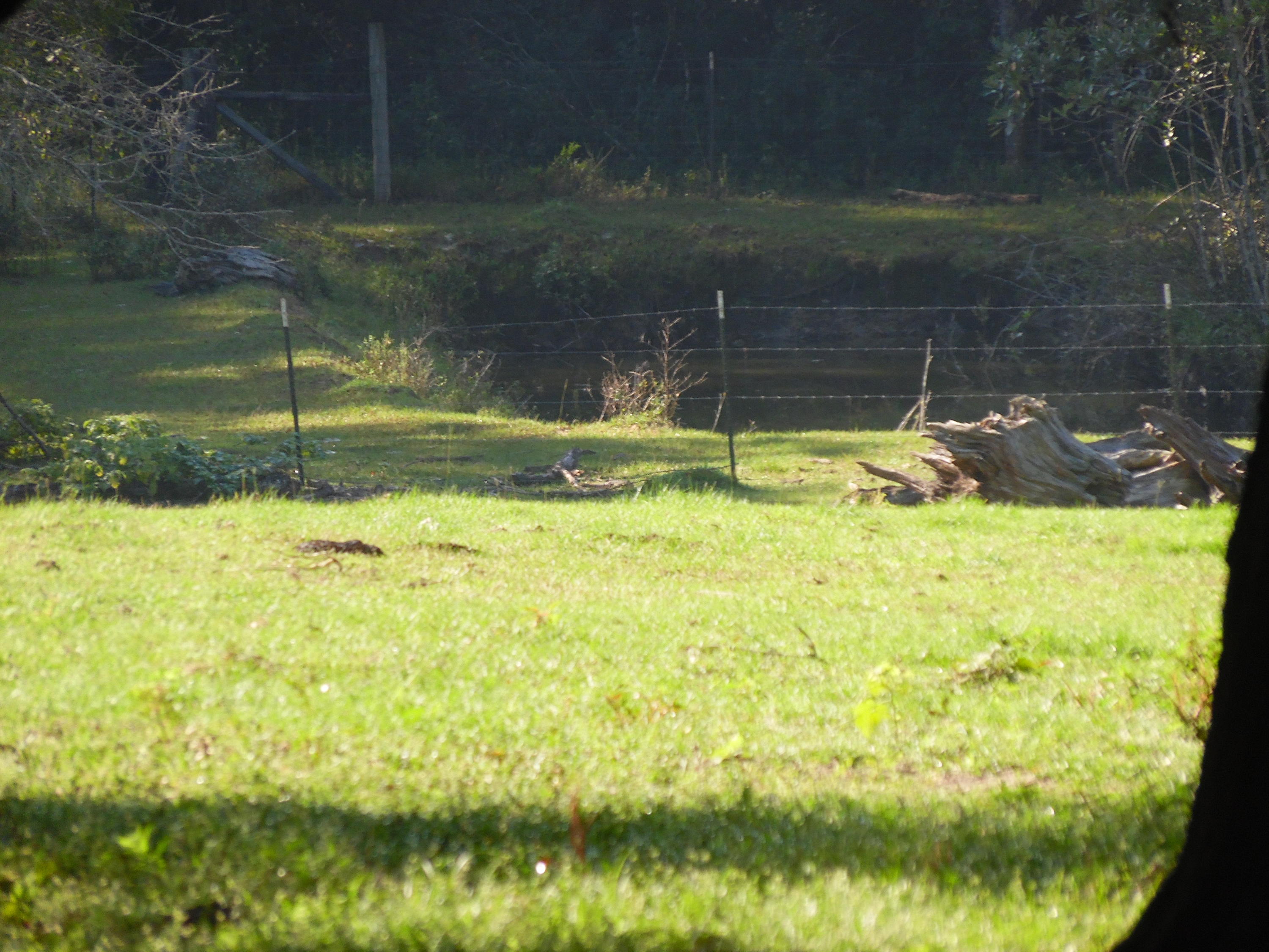 METES & BOUNDS - Farm