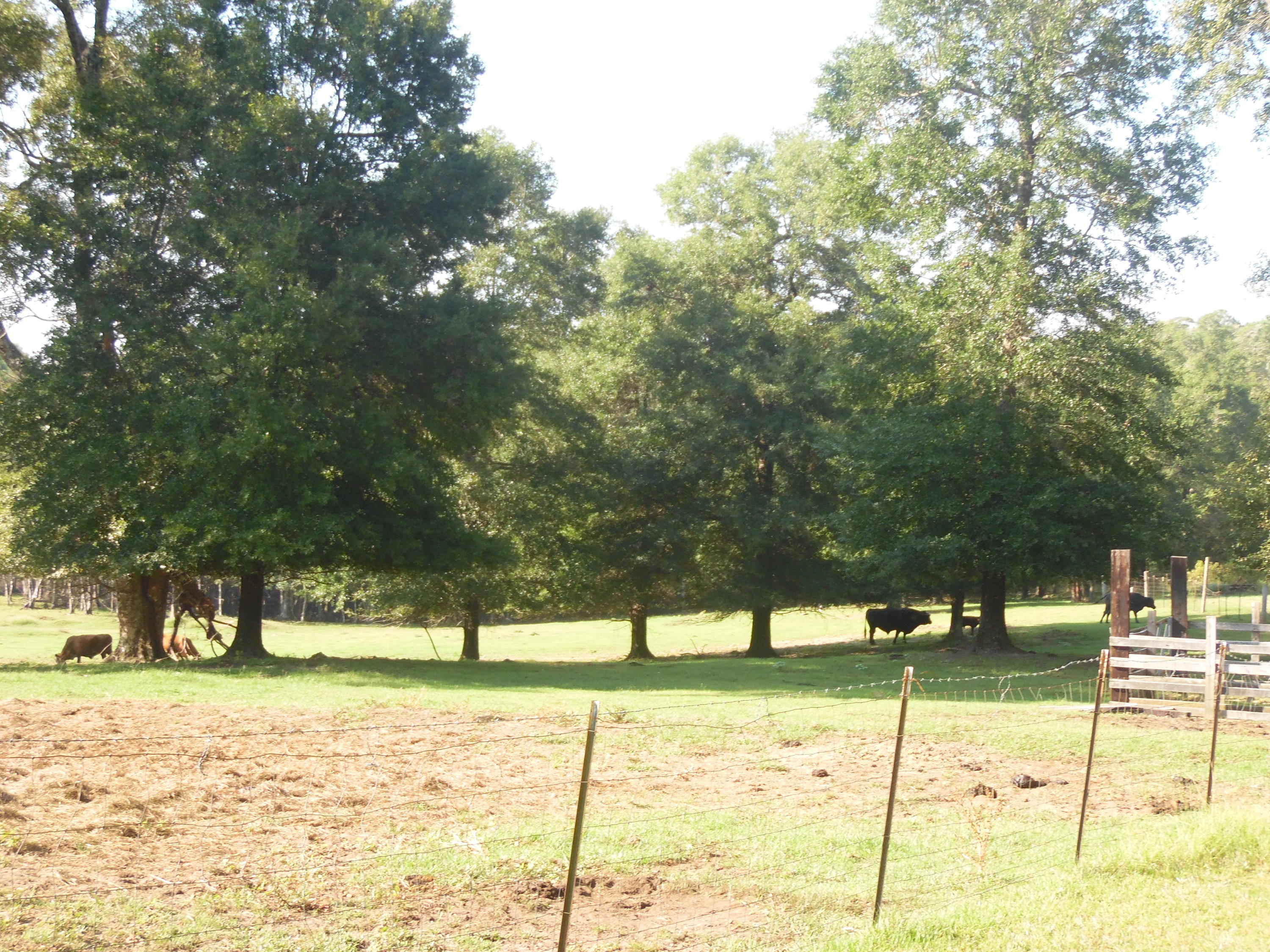 METES & BOUNDS - Farm