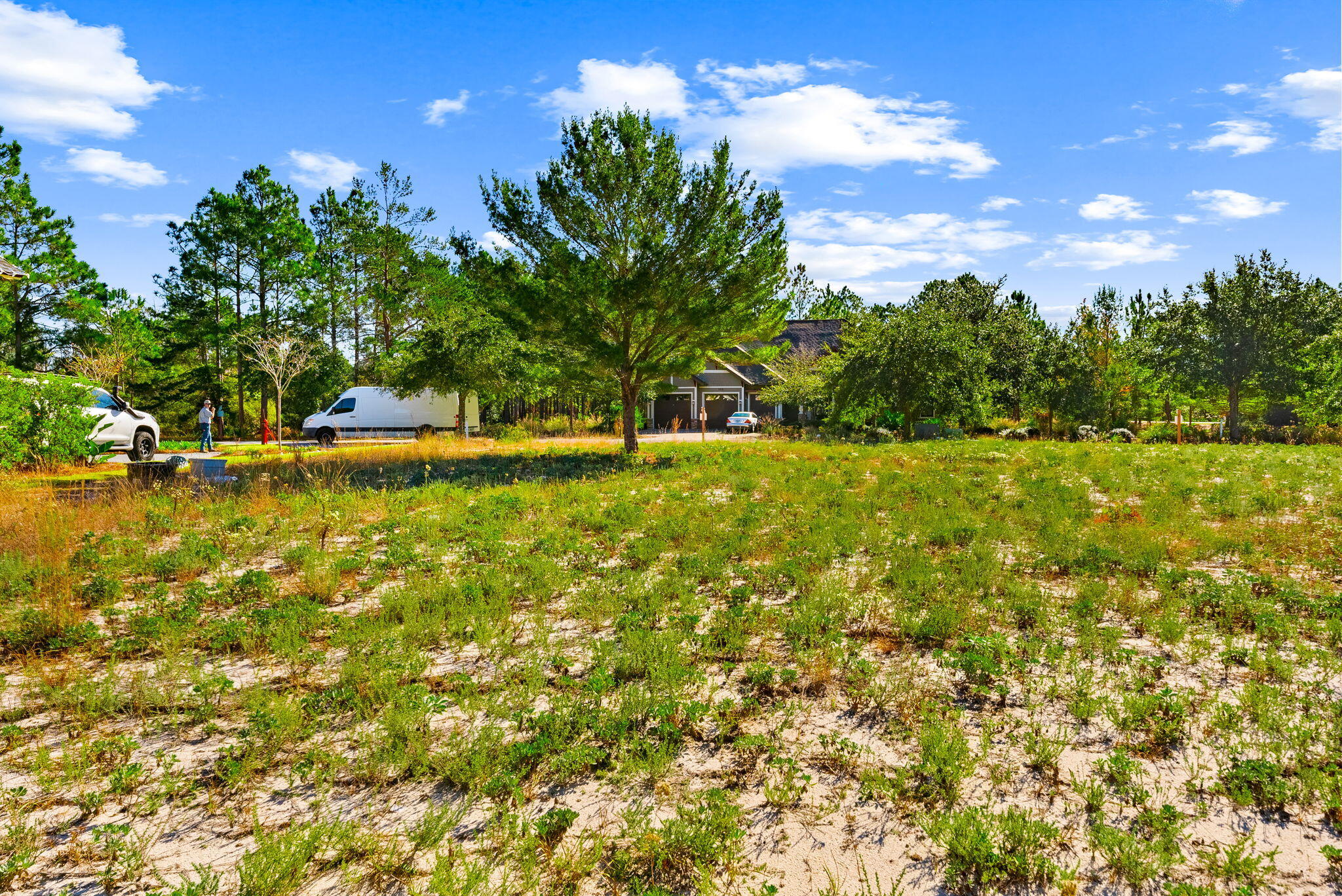 WILD HERON PHASE II - Land