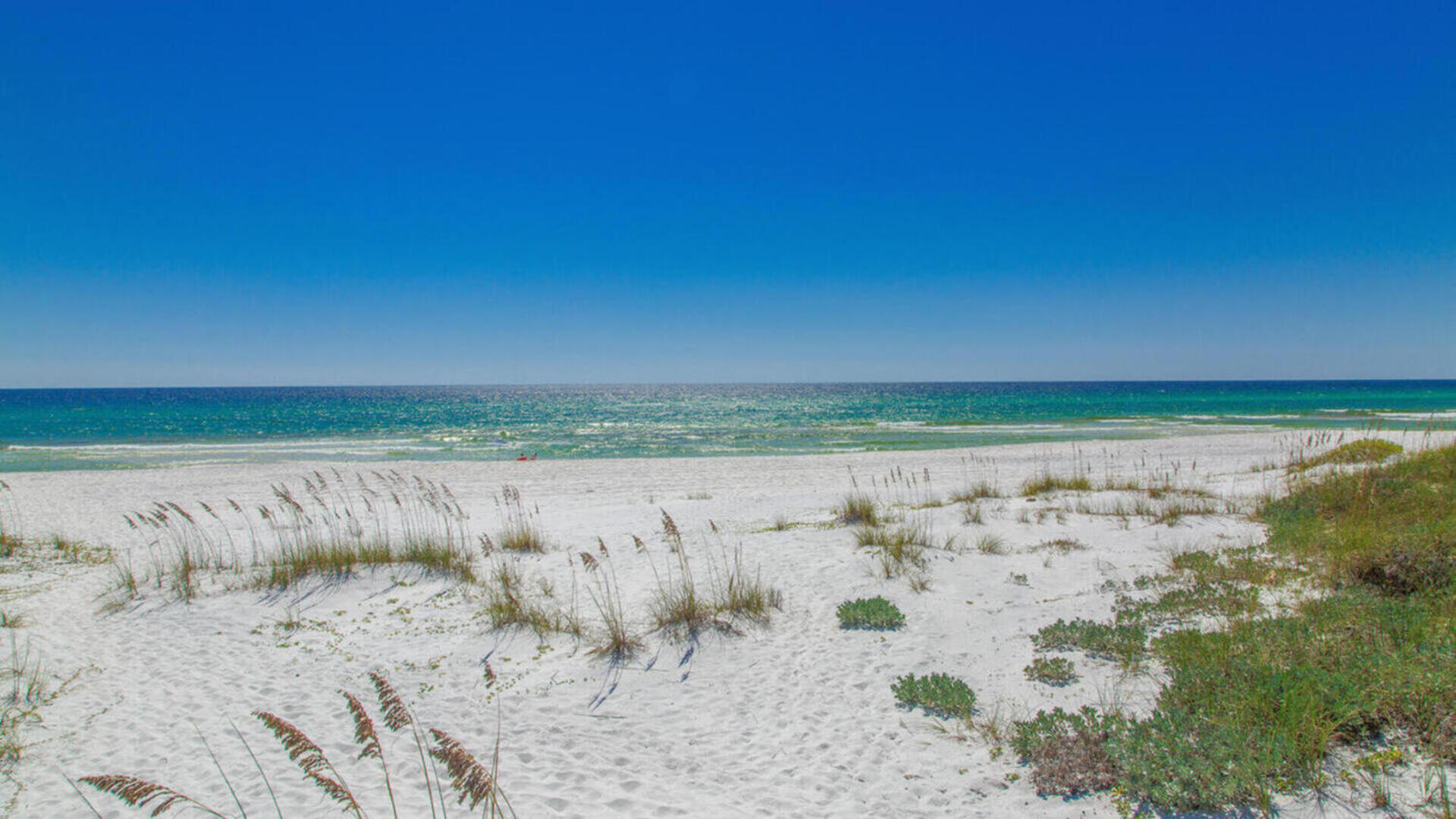 DUNES OF SEAGROVE - Residential