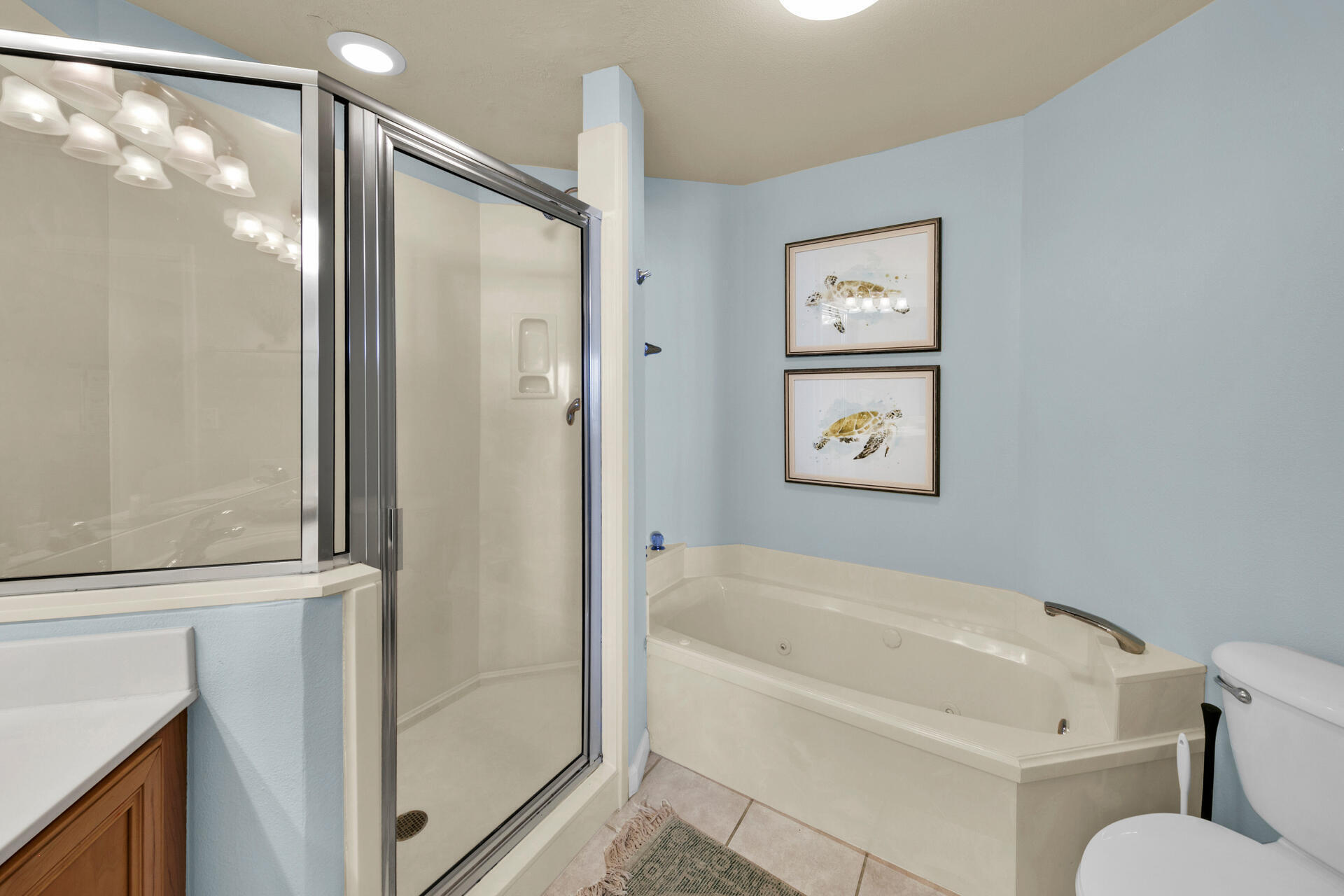 DUNES OF SEAGROVE - Residential