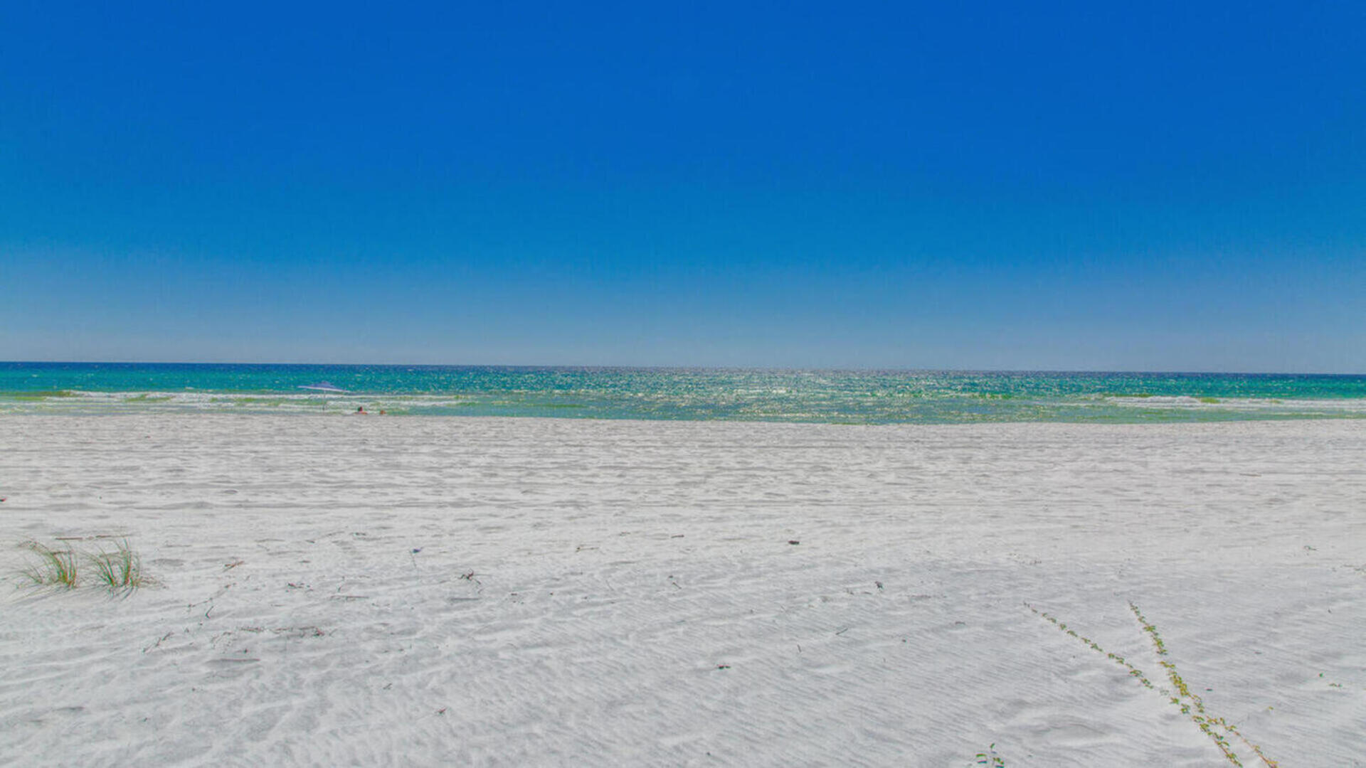 DUNES OF SEAGROVE - Residential
