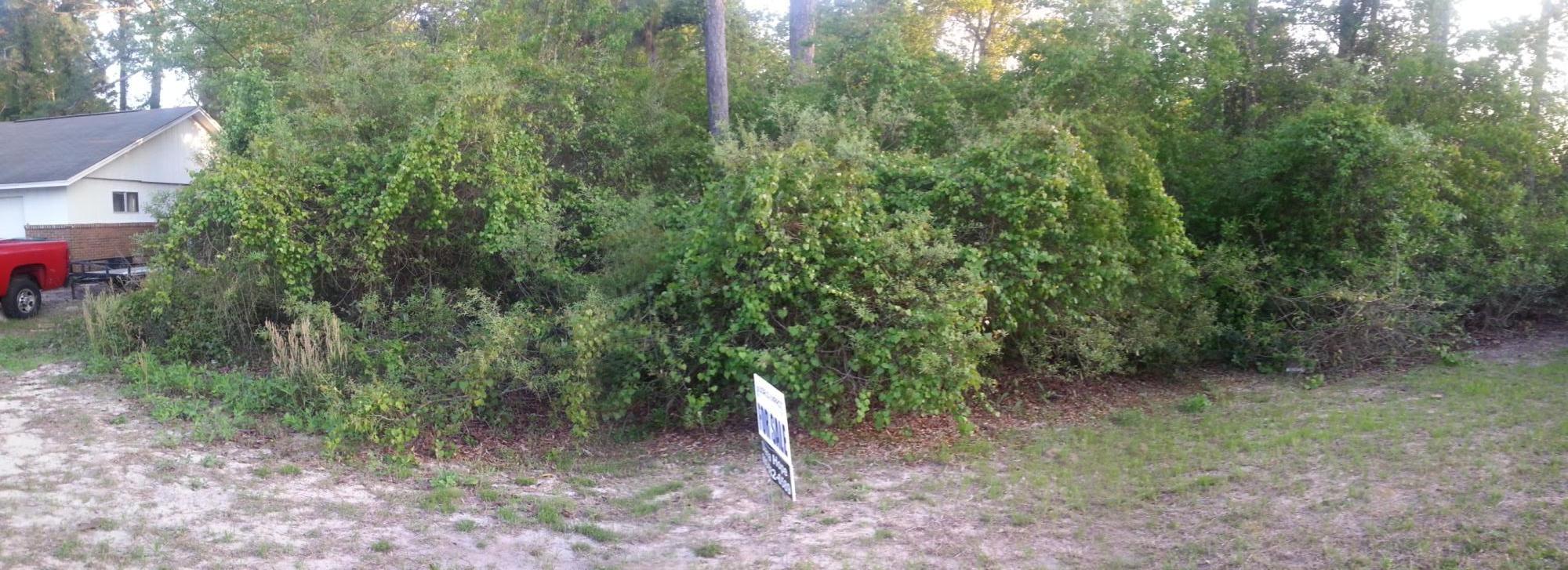 WYNNEHAVEN BEACH ESTATES - Land