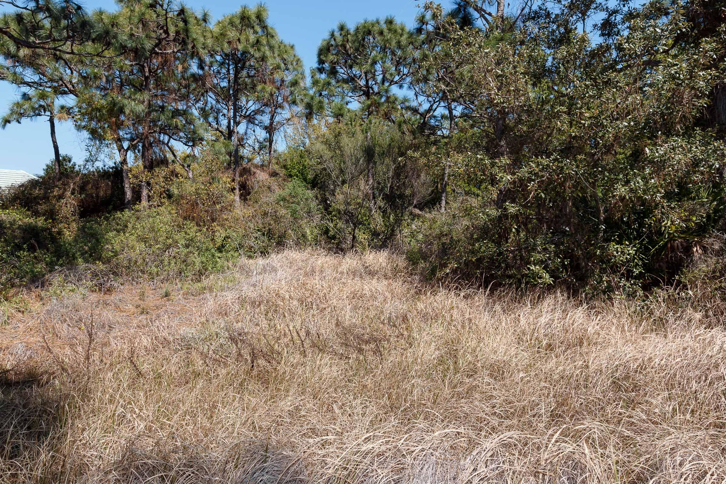 Regatta Bay - Commodore Point - Land