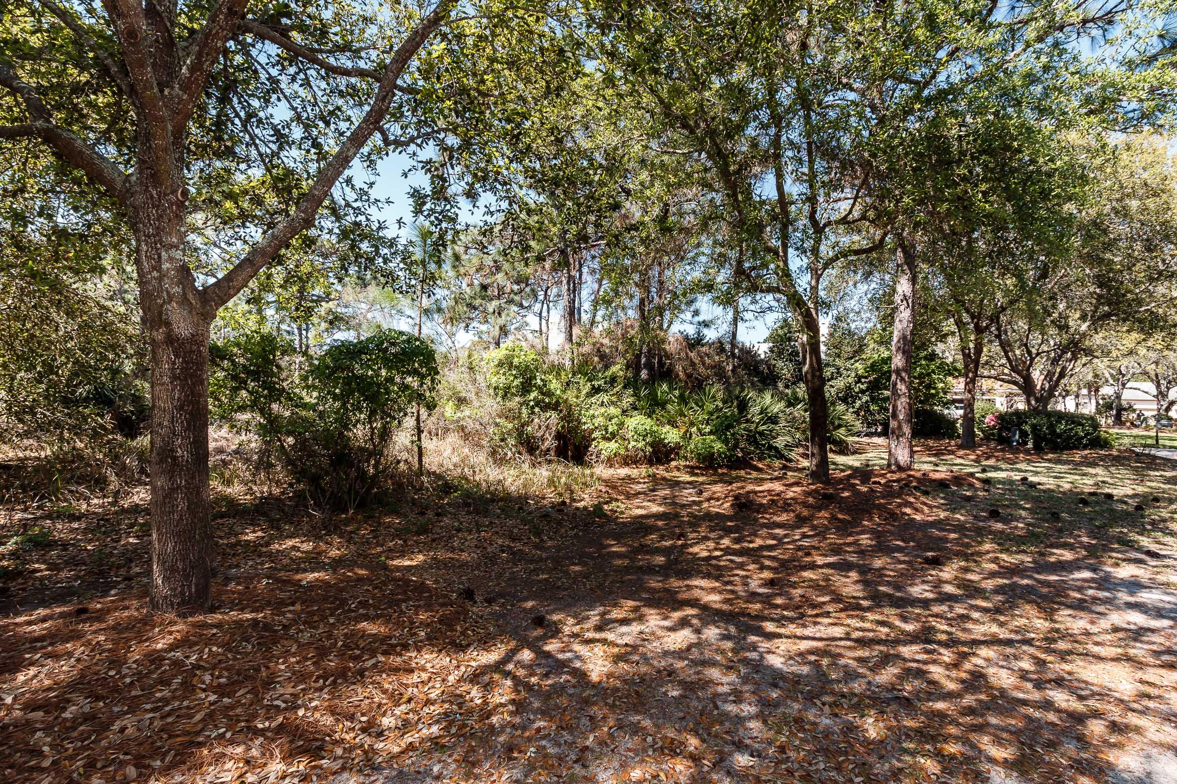 Regatta Bay - Commodore Point - Land