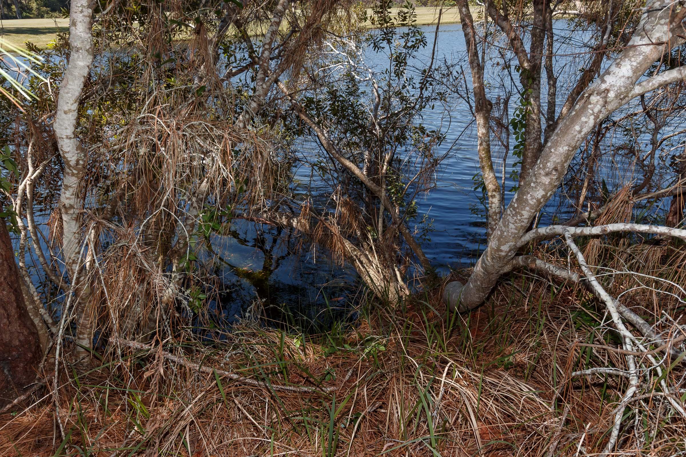 Regatta Bay - Commodore Point - Land