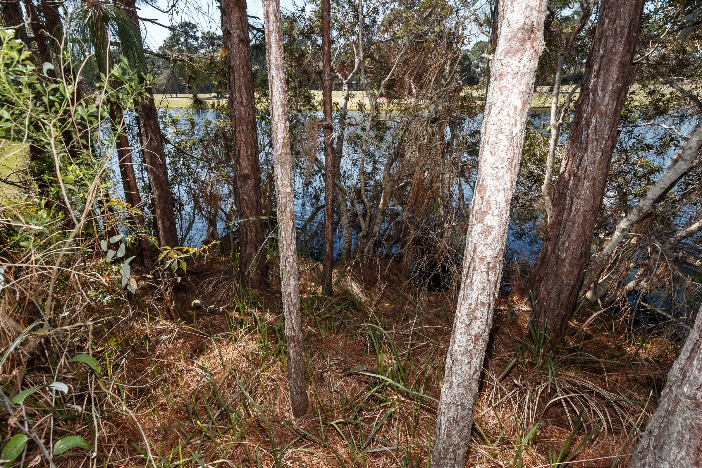 Regatta Bay - Commodore Point - Land