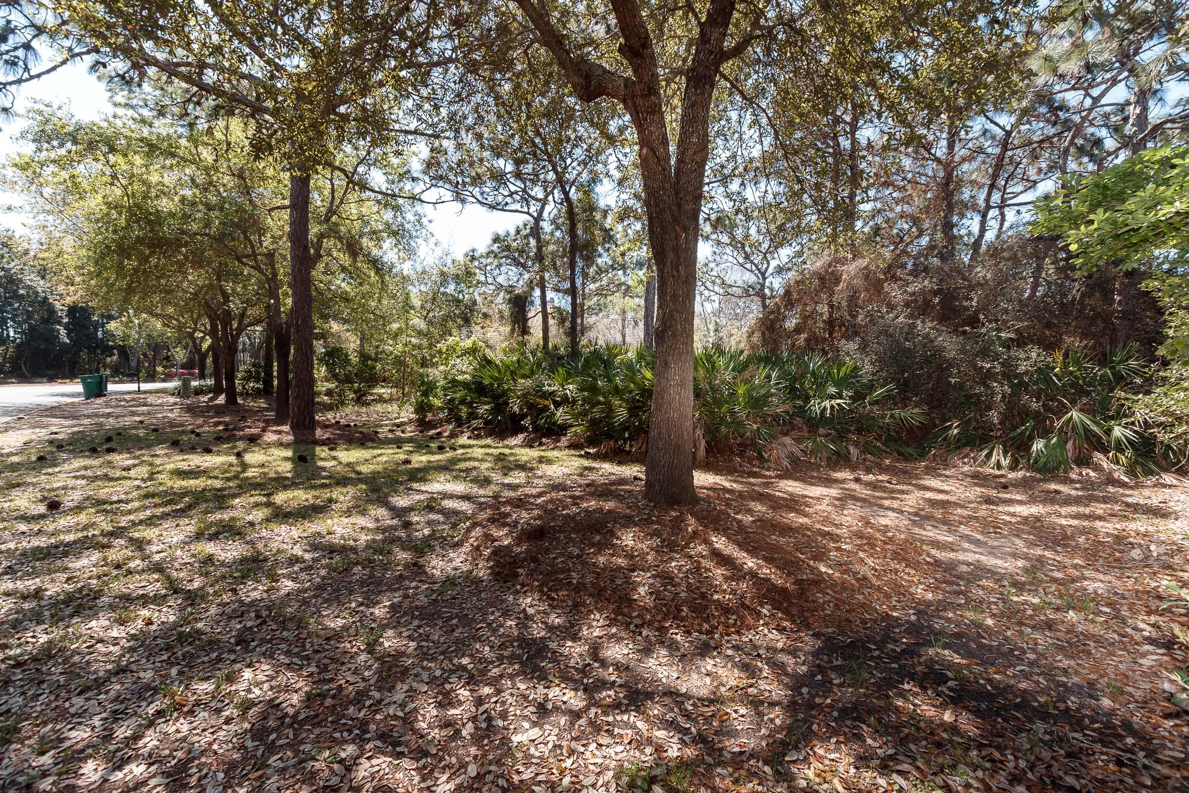 Regatta Bay - Commodore Point - Land