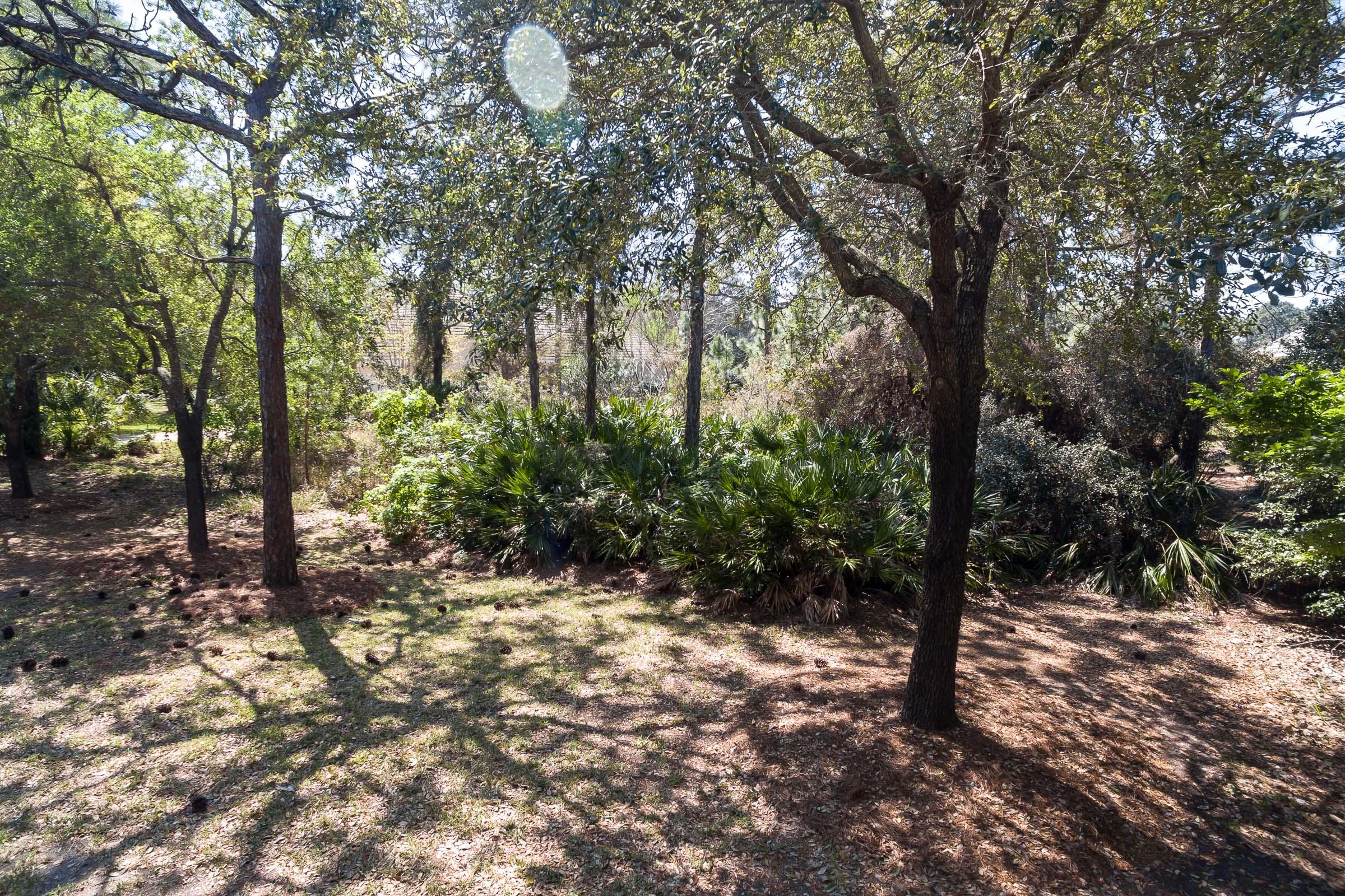 Regatta Bay - Commodore Point - Land