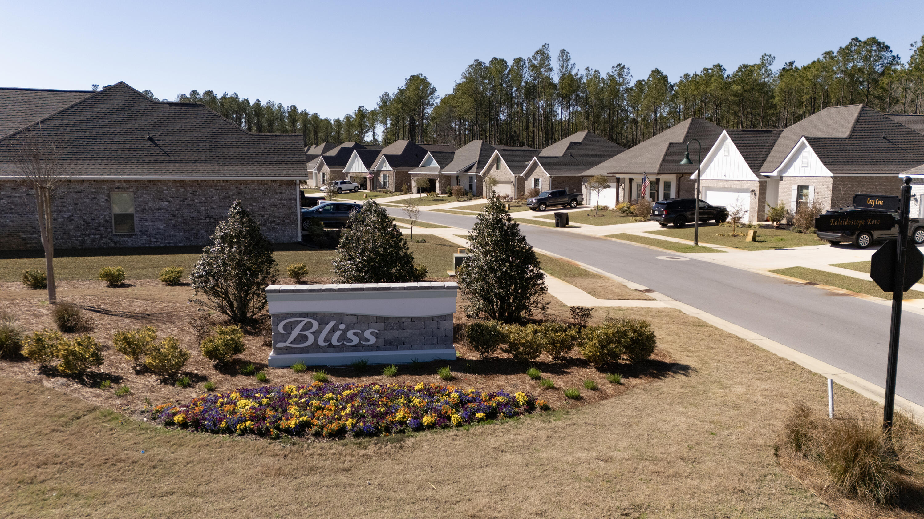 BLISS AT HAMMOCK BAY - Residential