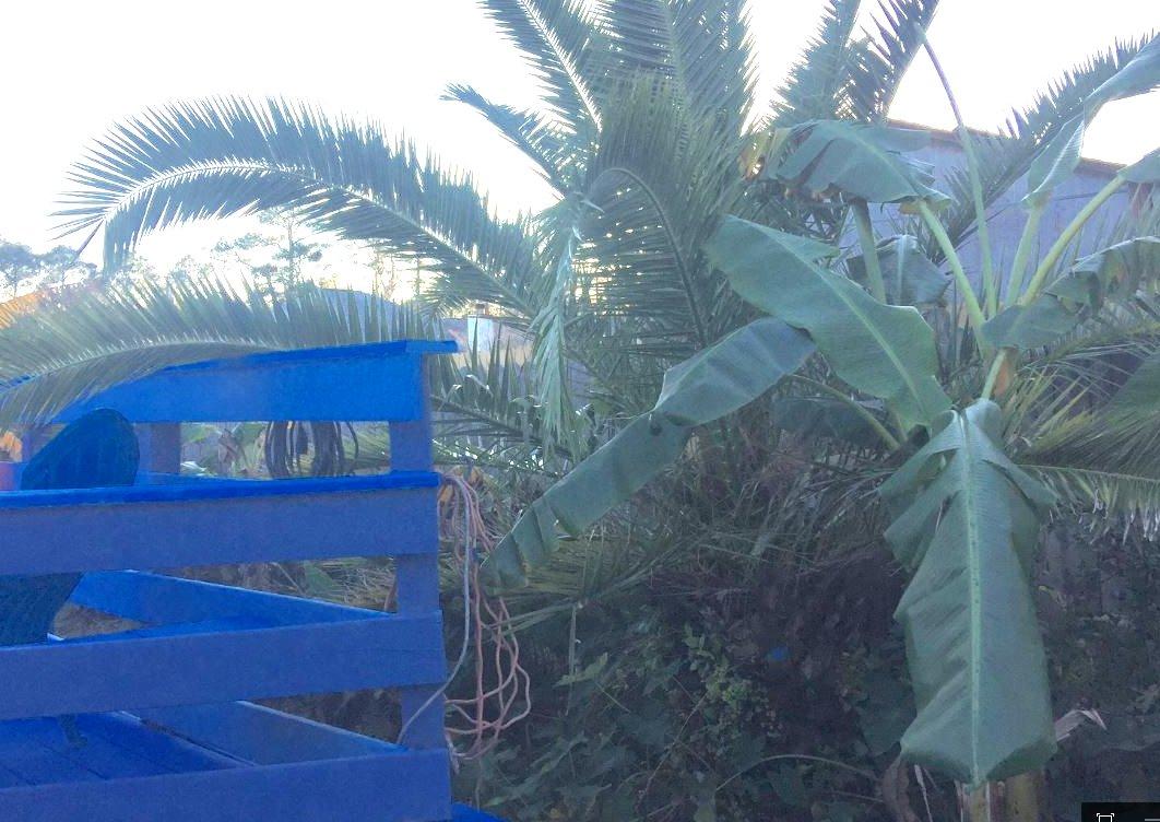 WYNNEHAVEN BEACH ESTATES - Residential