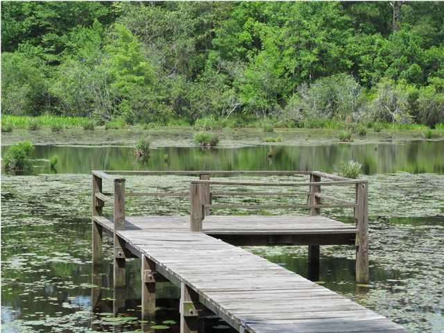 Back on the Market and Priced to sell!!! Big and beautiful waterfront lot located in Ten Lake Estates on the largest lake! The lot is cleared down the center making is easy to walk down to the water. Dock is already built for you to enjoy. Covenants and restrictions will only allow homes to be built here. No mobile homes. No Homeowner association dues. Build your dream home and enjoy fishing on this private championship bass fishing lake!