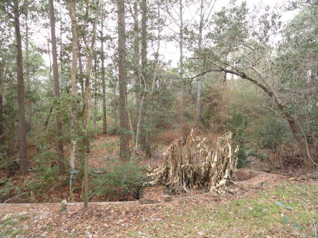 KINGS CROSSING PH 2 - Residential