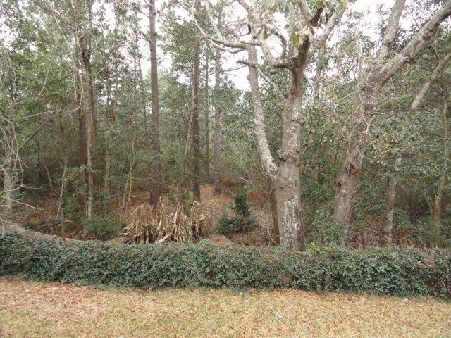 KINGS CROSSING PH 2 - Residential