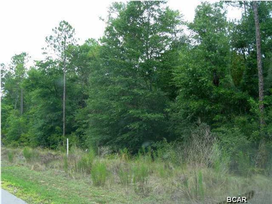 Cedar Creek at Deerpoint Lake is a quiet and ''away-from-it-all'' community. This is lot is conveniently located a short walk away from the community pool and Summer House. Build your home on this wooded lot and escape to peace and serenity.