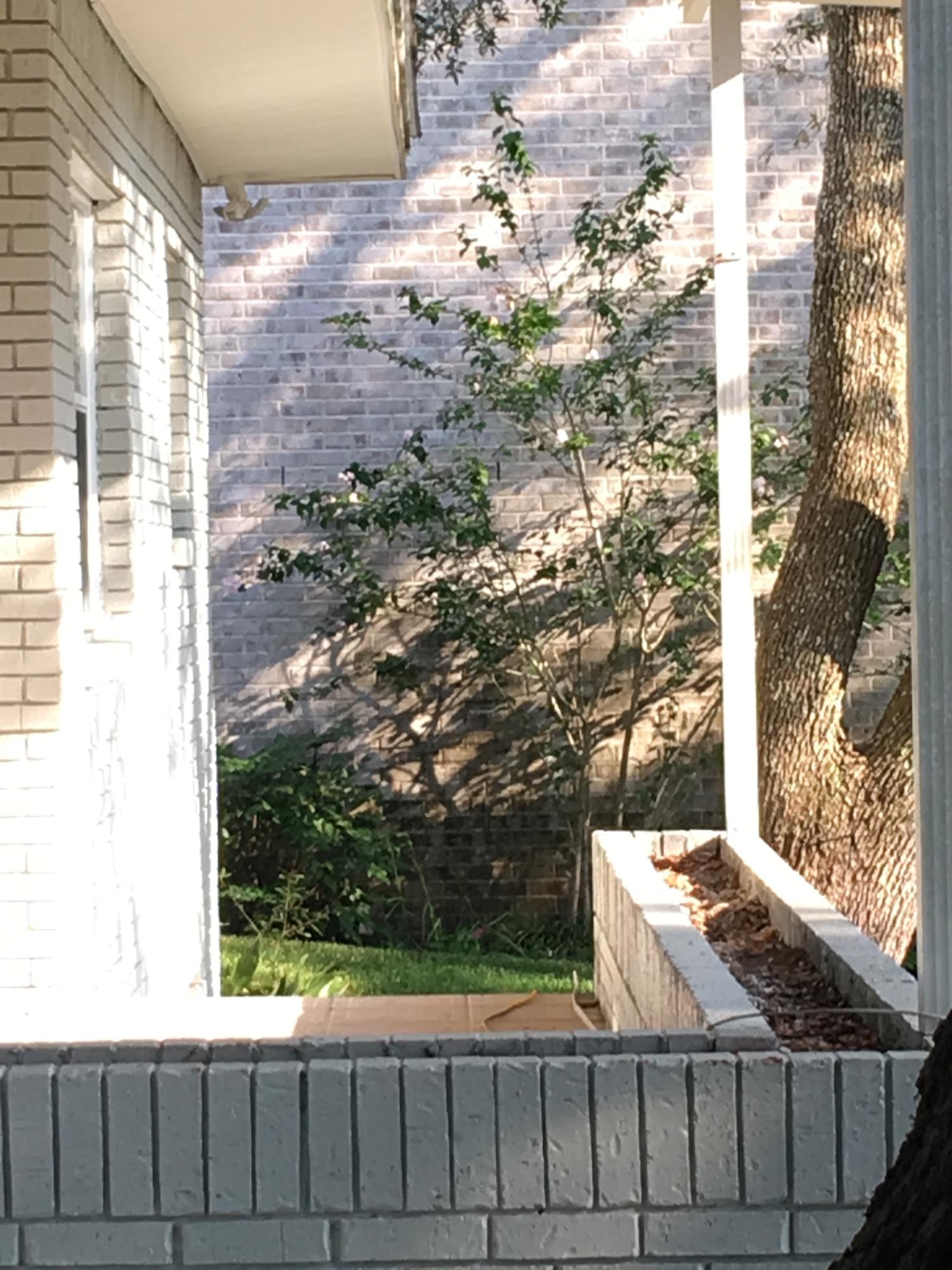 MOONEYS NORTH S/D - Residential