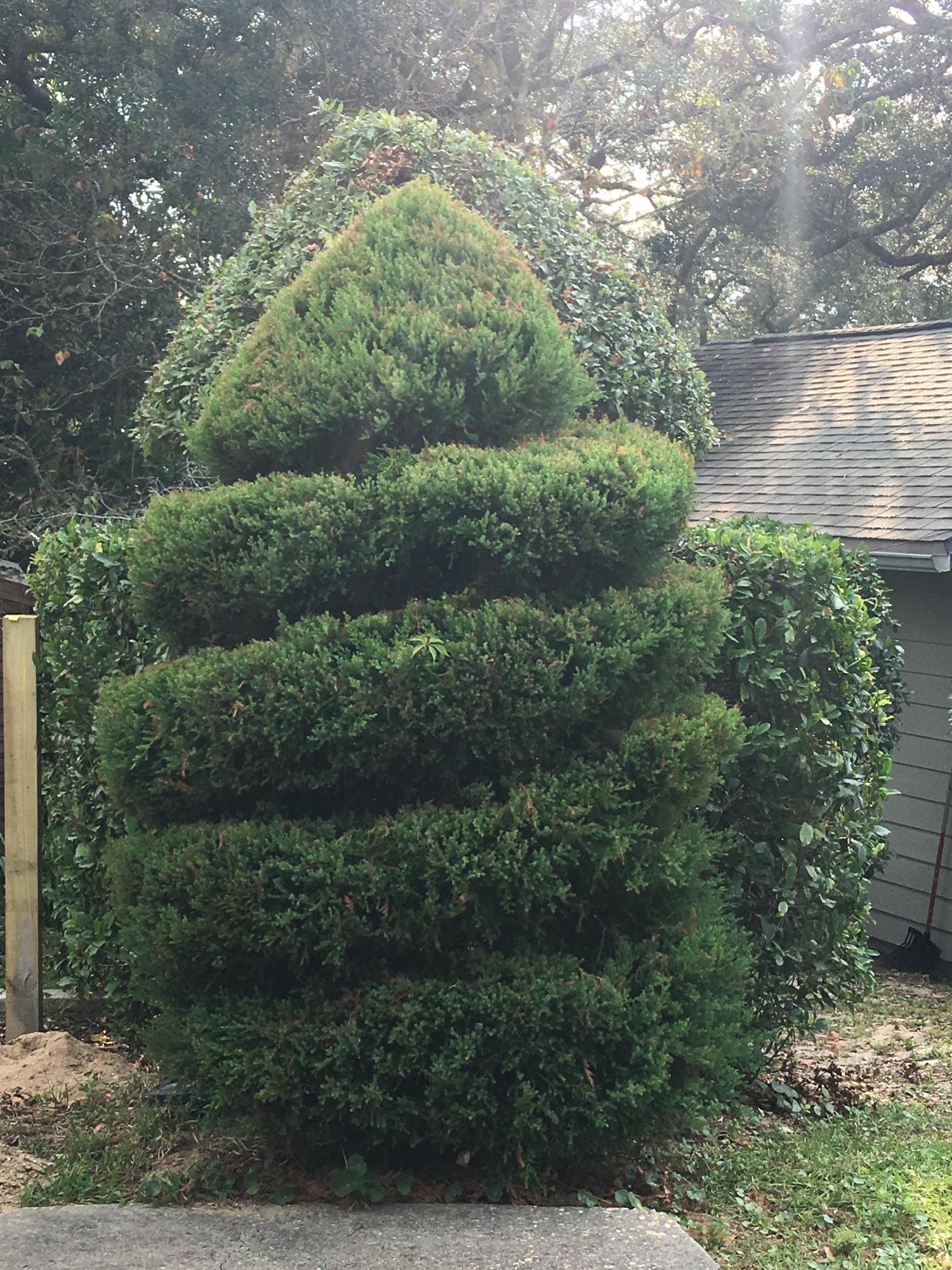 MOONEYS NORTH S/D - Residential