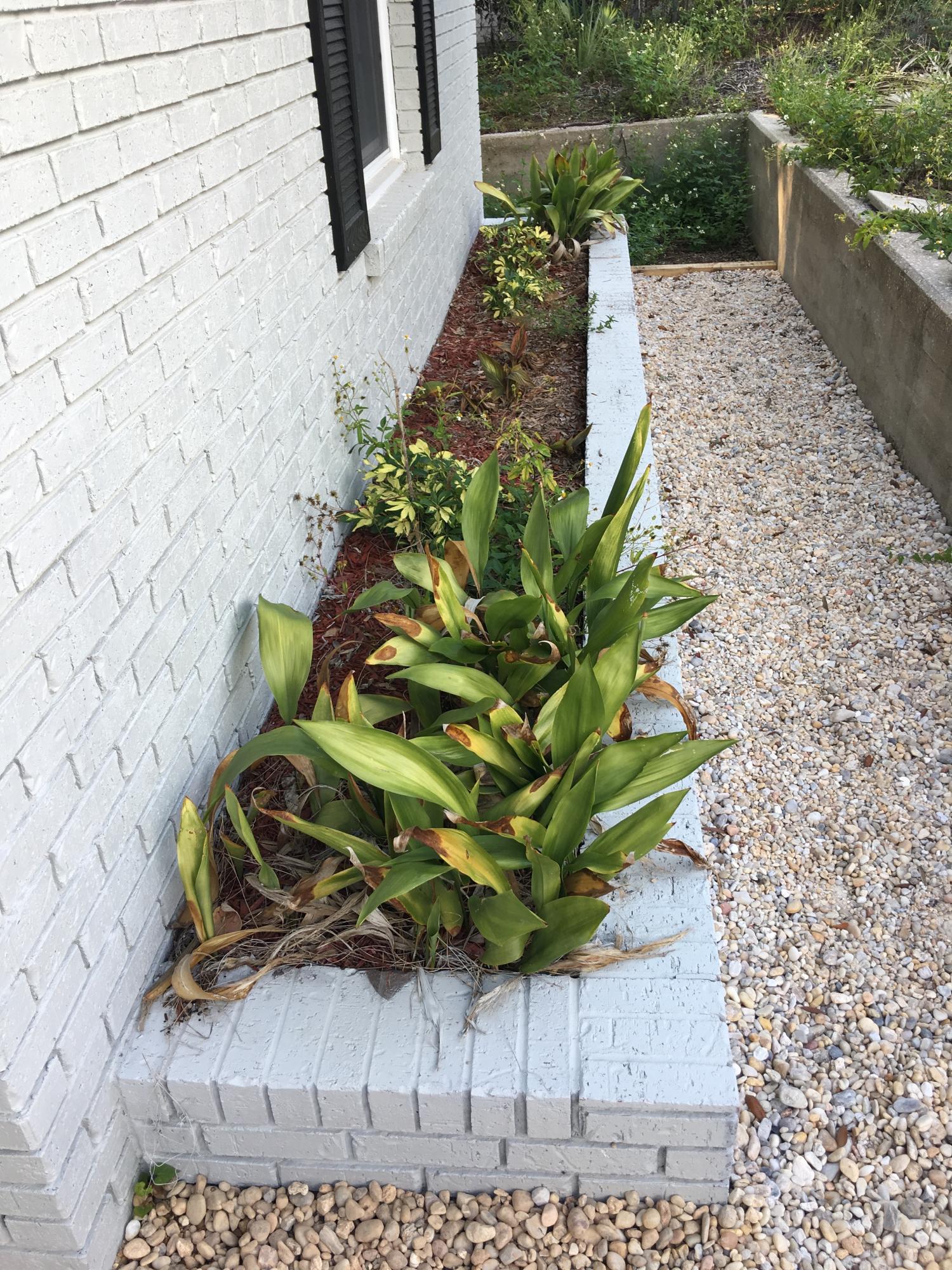 MOONEYS NORTH S/D - Residential