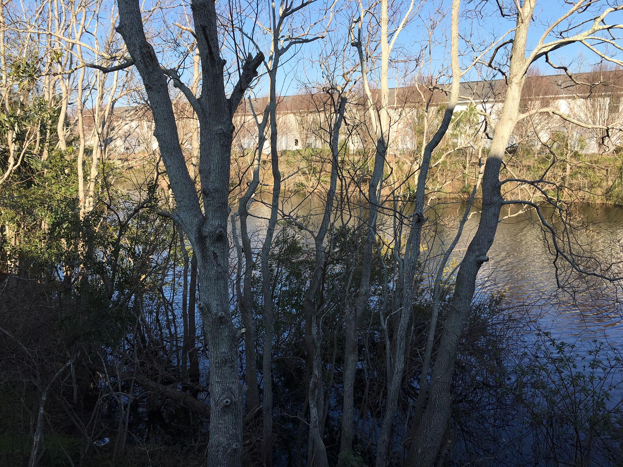 QUAIL LAKE - Residential