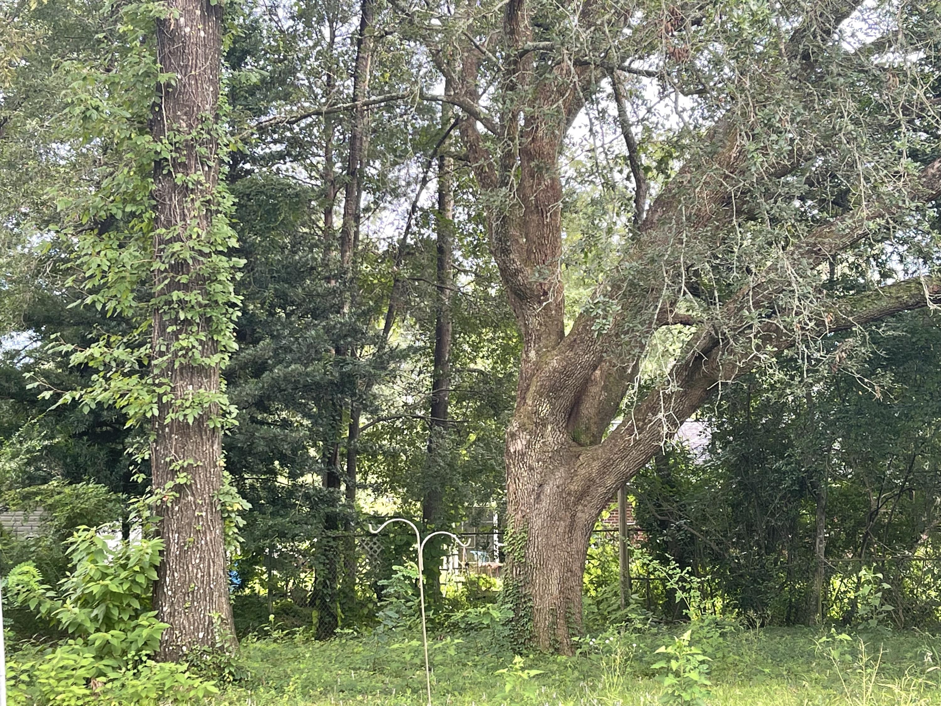 CRESTVIEW (231100.00) - Residential