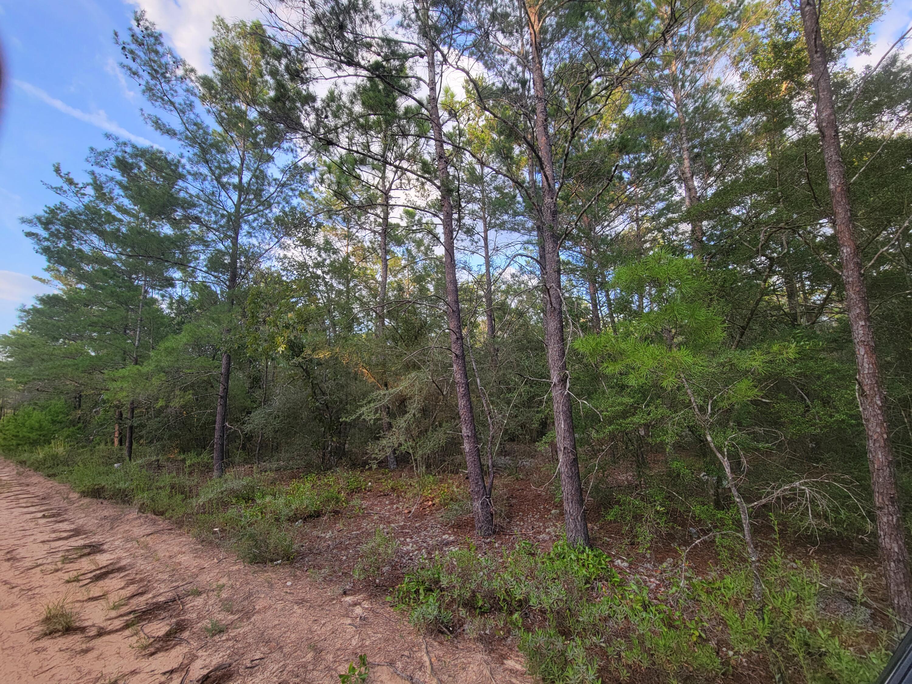 Nice level and wooded lot. Would make a great lot to build your dream home or place your manufactured home.