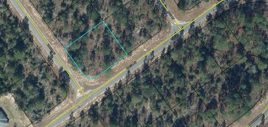 Nice Corner Lot in Sunny Hills. .31 acre 45 min to Panama City Beach.  Golf Course community and lakes throughout for recreational activities.