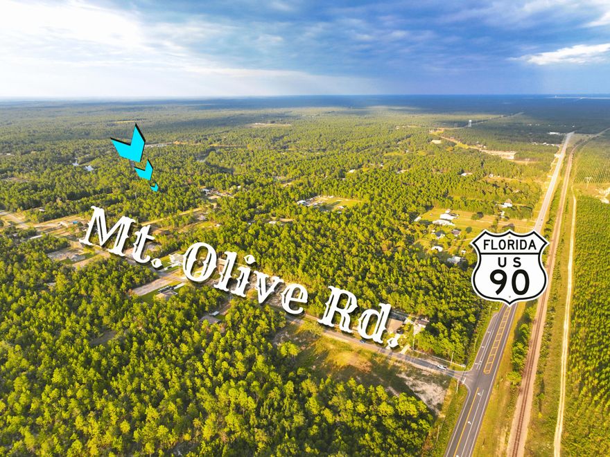 Bring your home plans to this wooded land that is on relatively flat ground just waiting for your creativity.Use the whole acreage or subdivide your own parcels for sale. With approx 355 feet of frontage on Randi road you can break the acreage up as the county permits. Electric utility is available at Randi Road. Neighborhood has public water and uses septic tanks.  There is an electric power line easement across the back section of the property. This lot has approx. 3.5 acres in the front/ southern portion, and 1.4 acres in the northern section with approx .6 acres of the easement section.