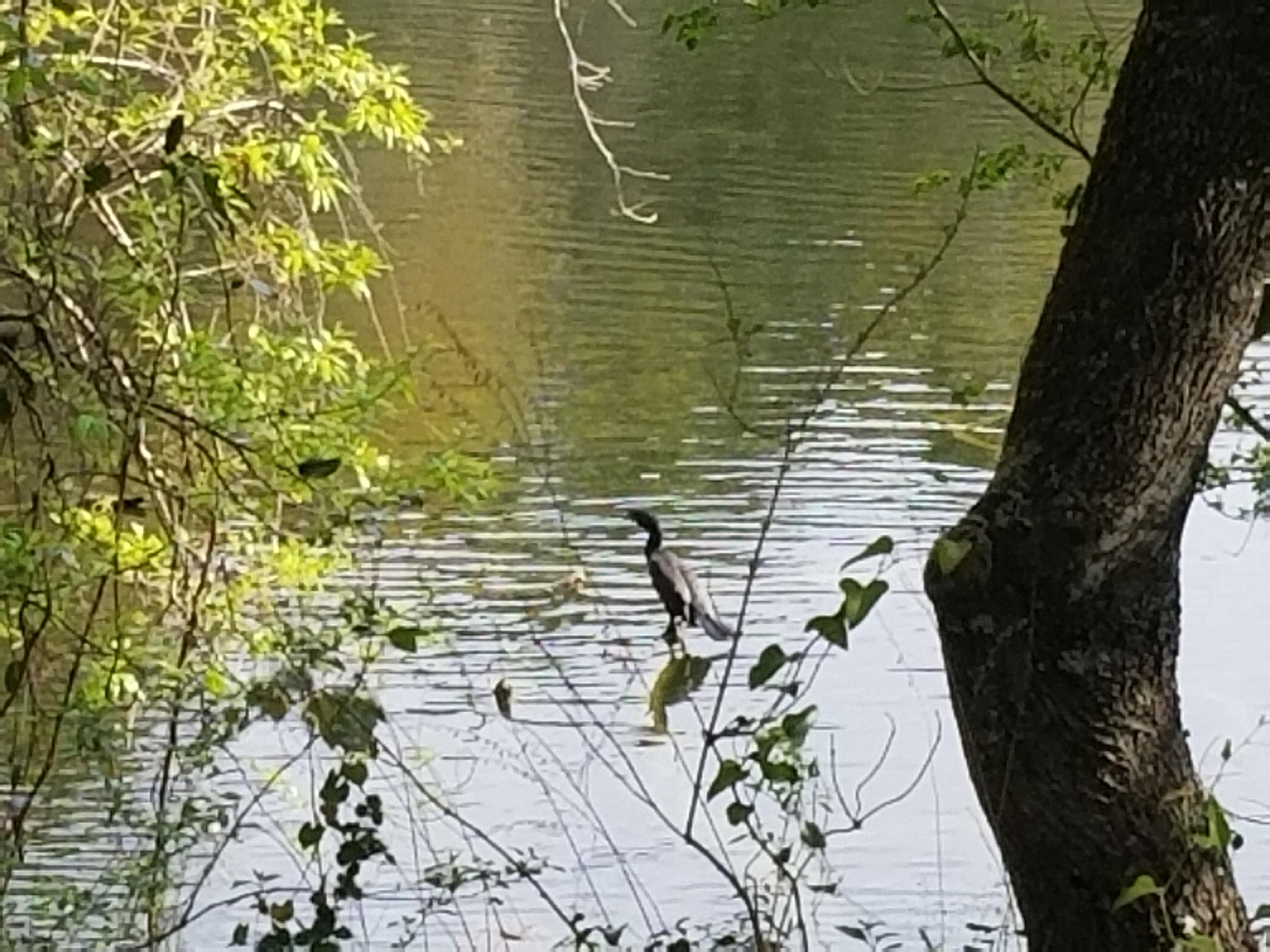 ROCKY BAYOU COUNTRY CLUB ESTATES 1 - Residential